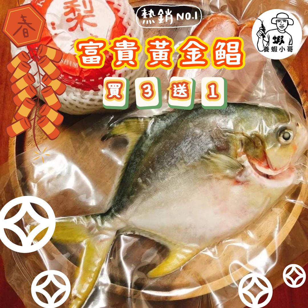 【養蝦小哥】富貴黃金鯧魚【400-500克】買3條送1