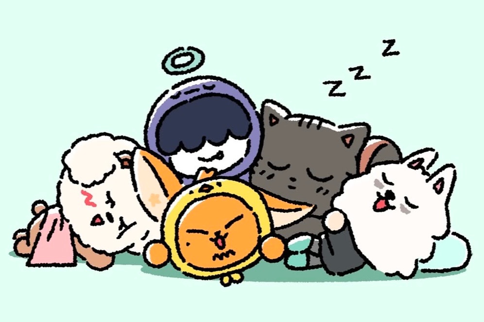 包手（每筆訂單請下單一份‼️）