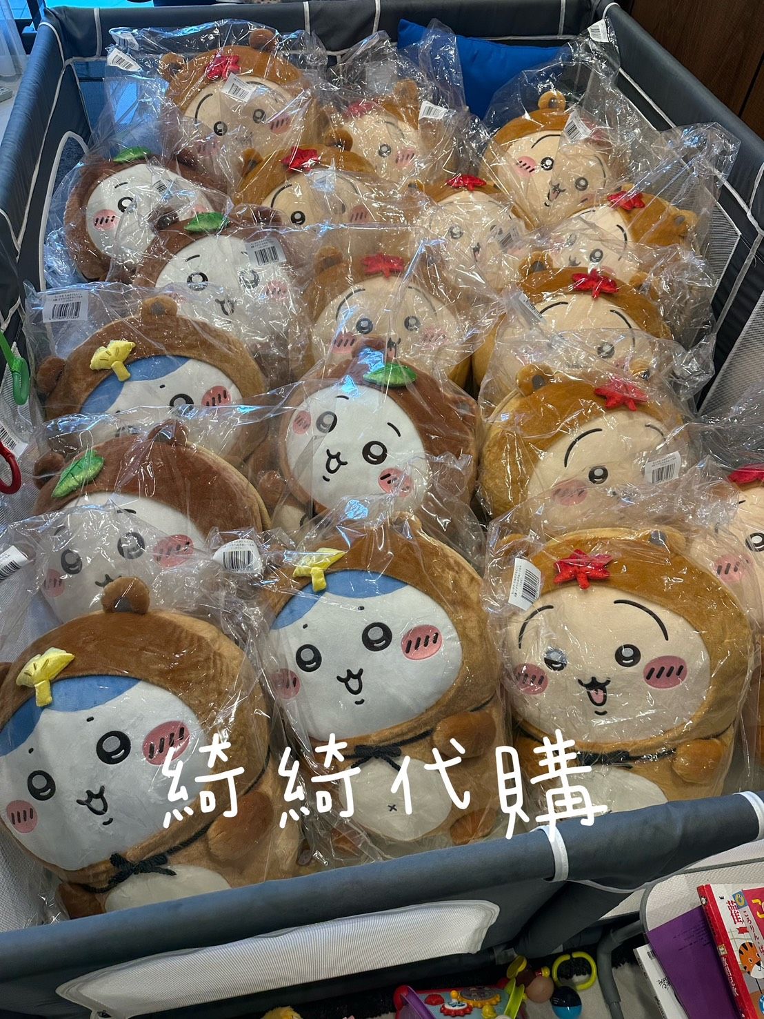 狸貓一番賞專區