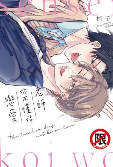 9成新 二手 老師你不懂得戀愛