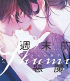 9成新 二手 週末的惡魔