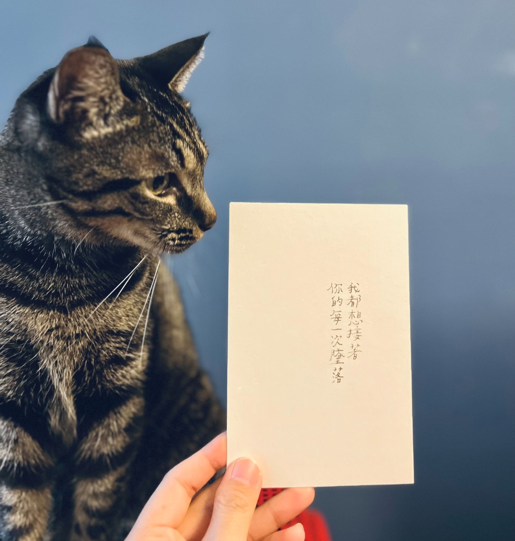 青青的島｜文字小卡