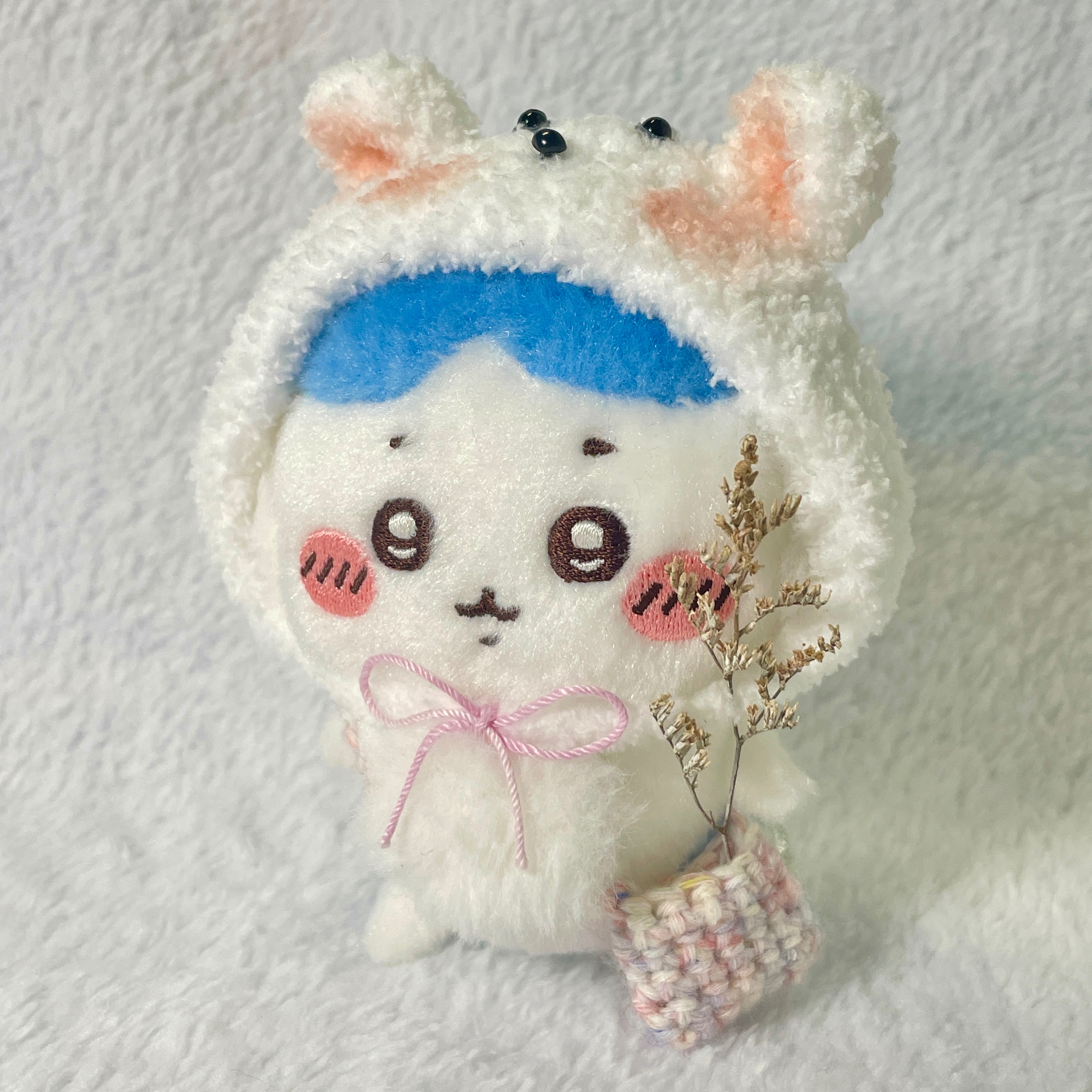 🌿花草野行｜熊熊採集日🐻