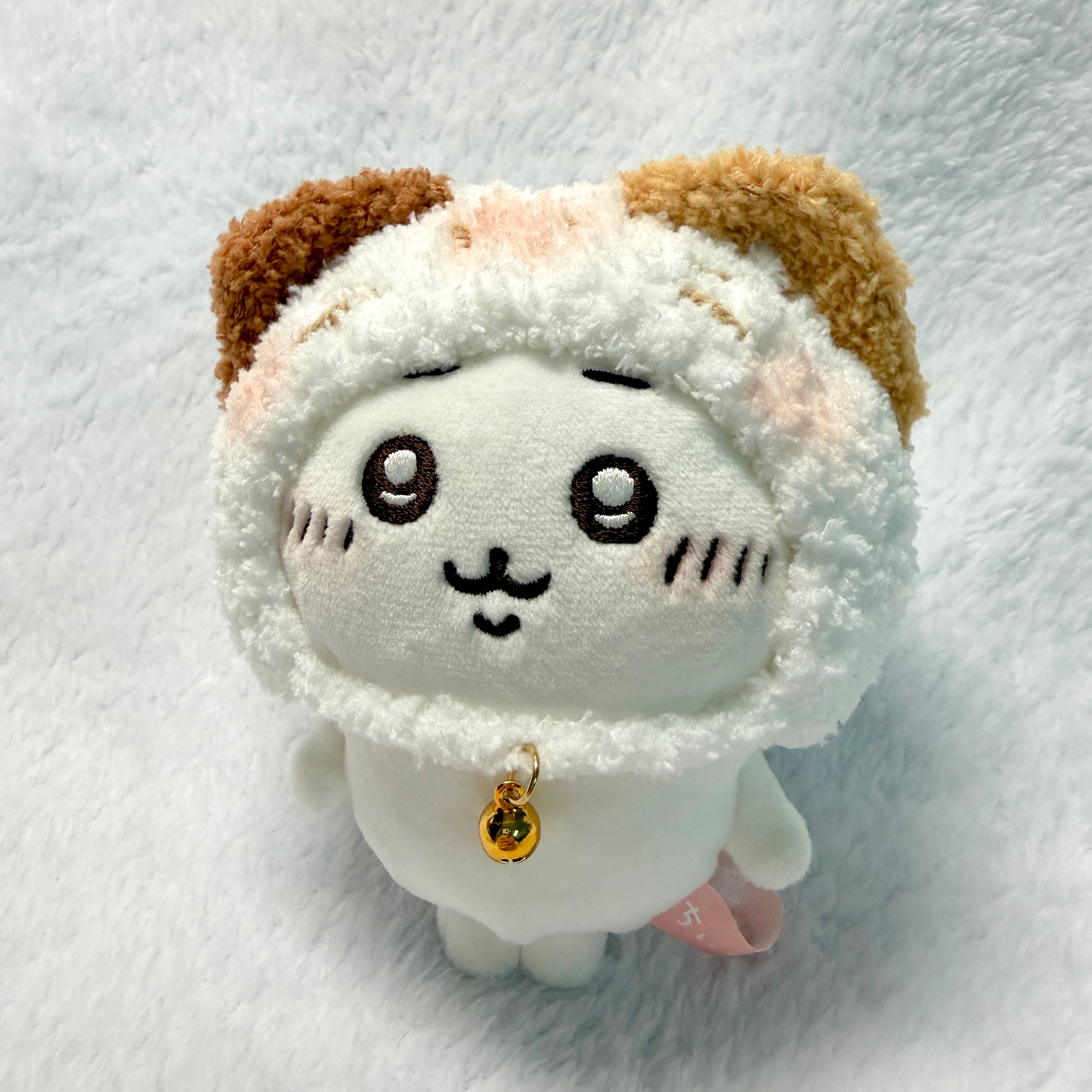 伯爵咖啡牛奶貓☕️⋆⑅˚₊🤍🥛