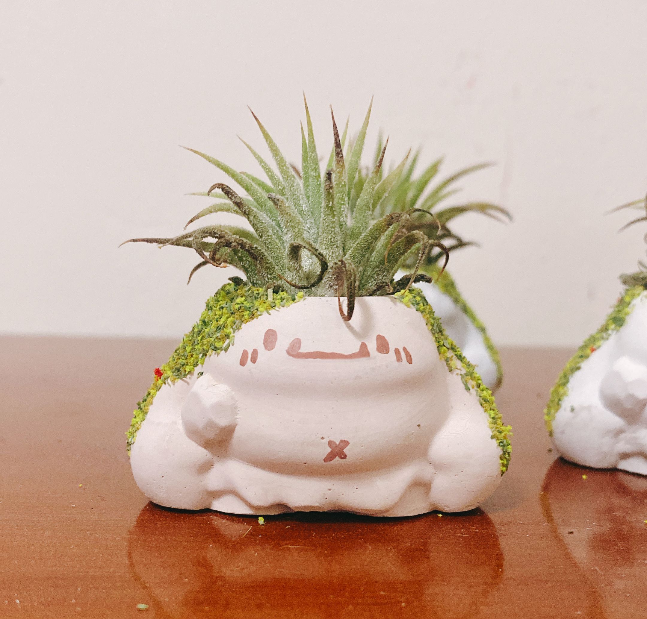 巨魔盆（會附贈一種隨機植物 或者 水晶）