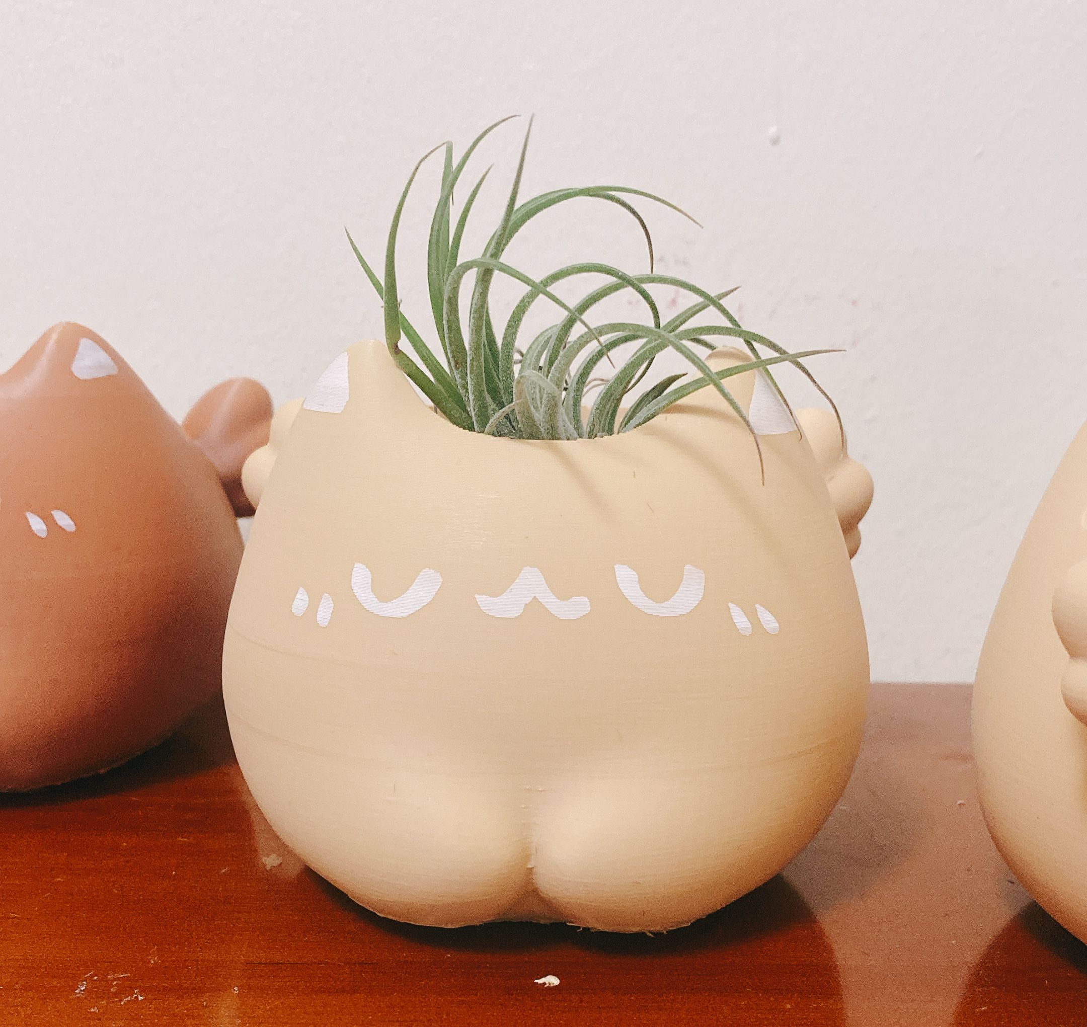 天使喵吊盆（會附贈3種隨機植物 或者 3顆水晶）PLA材質