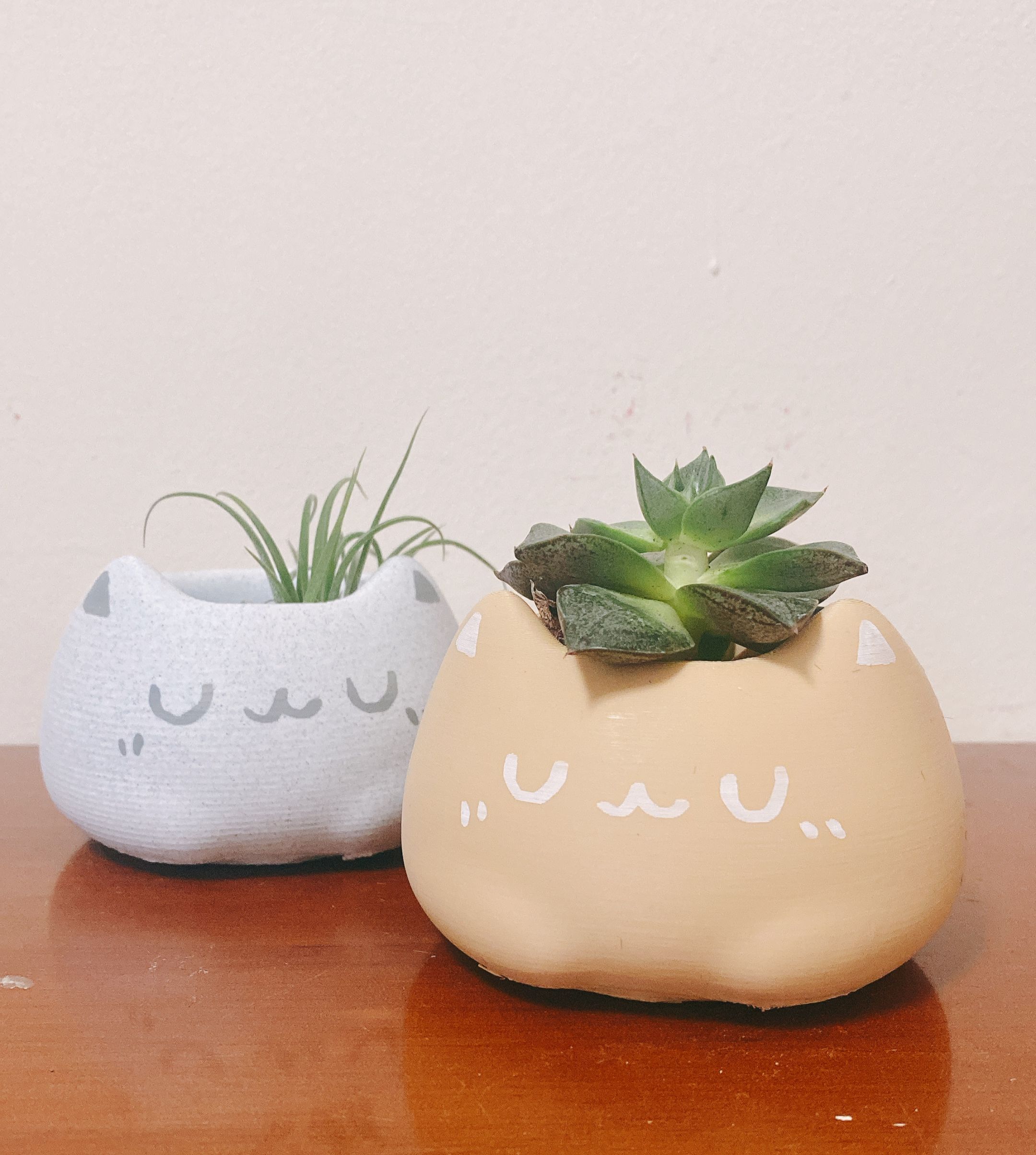 巨大貓貓（會附贈3種隨機植物 或者 3顆水晶）PLA材質