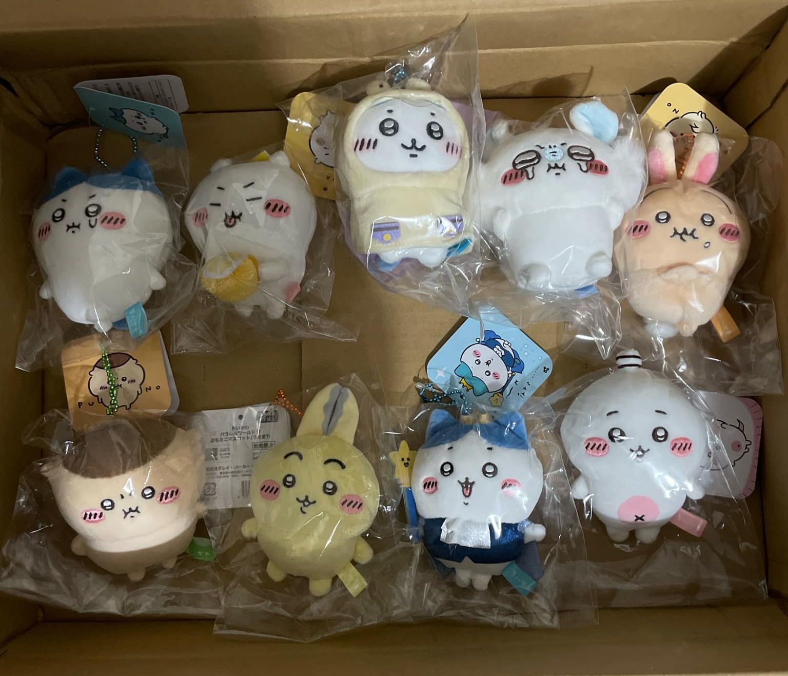 吉伊卡哇 東京購入20250130