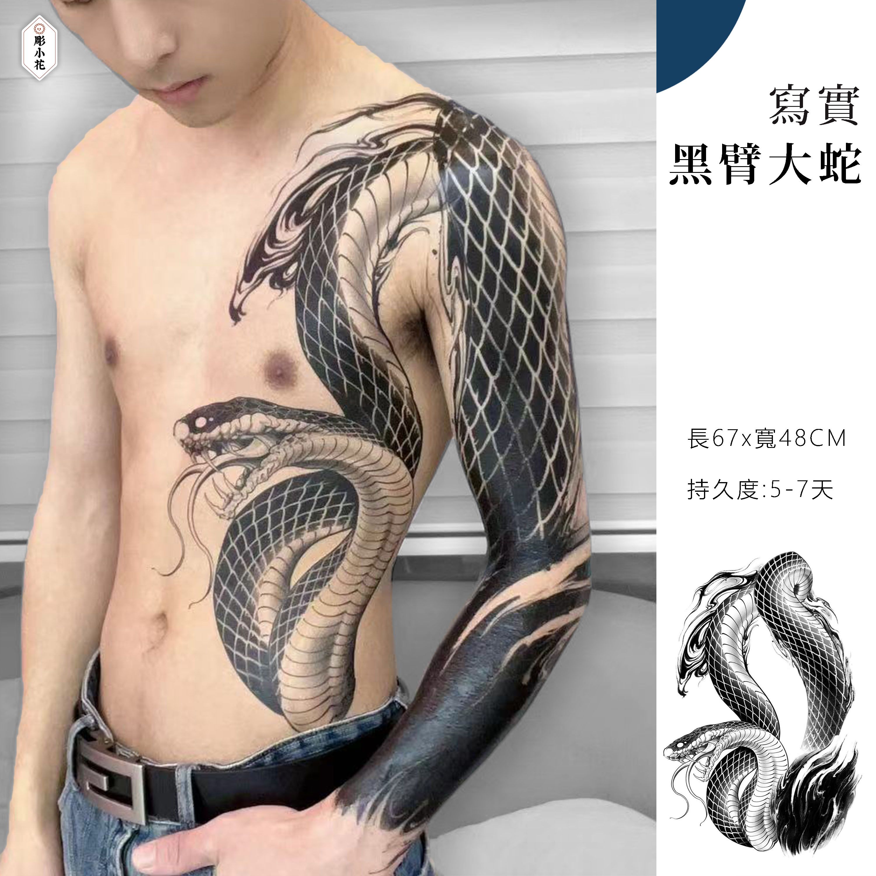 ✫【其他】 黑臂大蛇