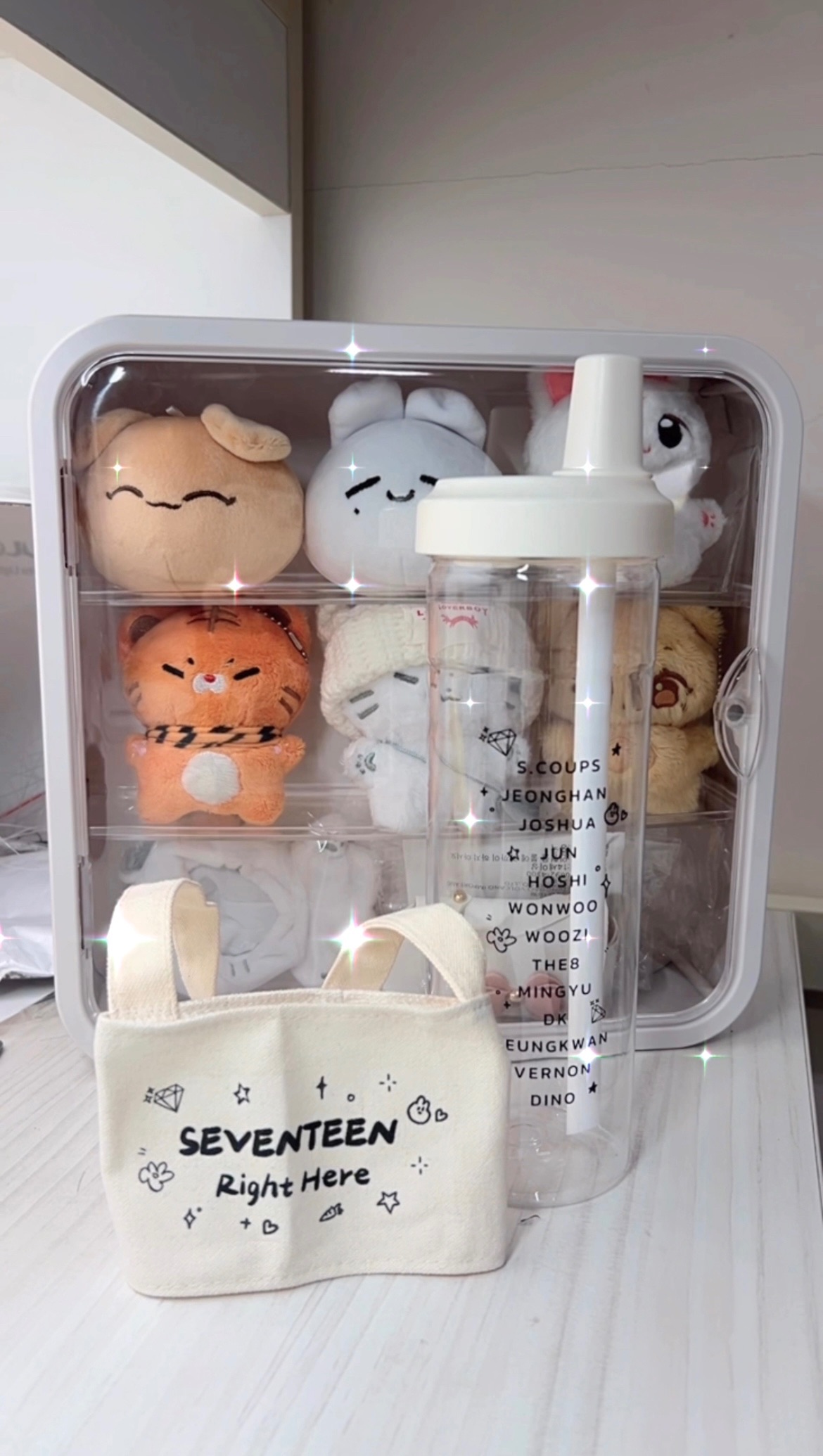 SEVENTEEN 應援水杯set （每單最多6組）