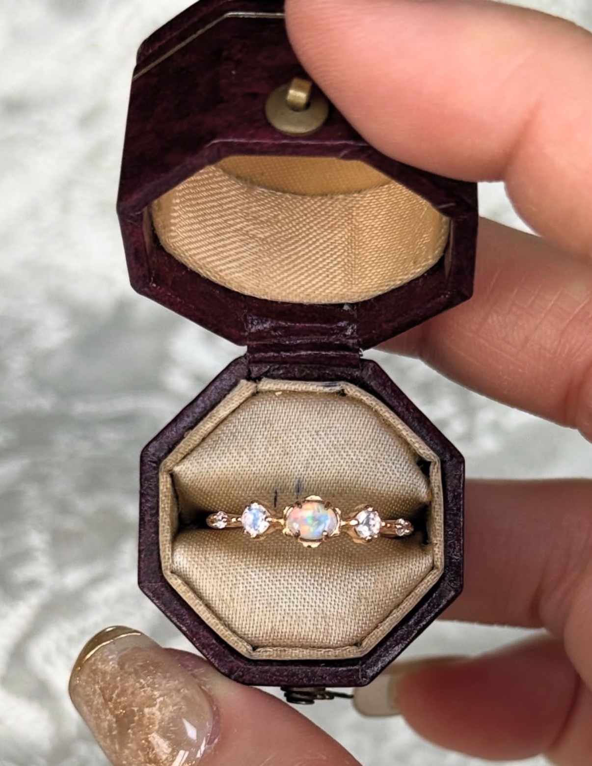 ⁂ 尋找命定的灰姑娘