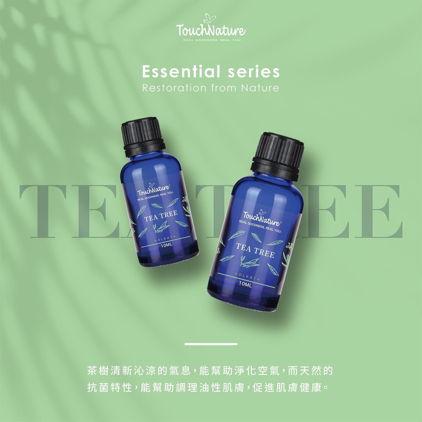 單方花草植萃精油系列-茶樹精油 Tea Tree