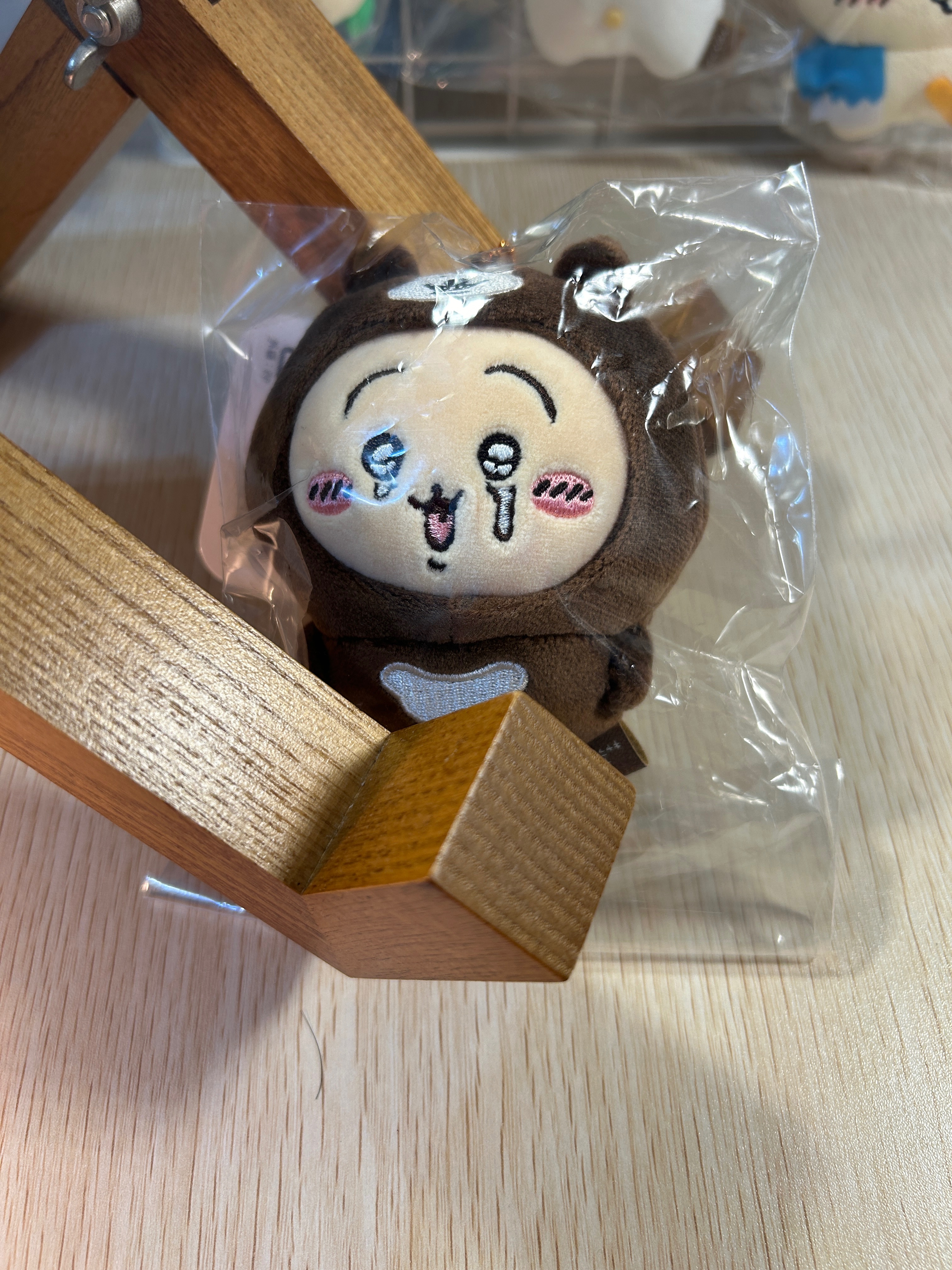 馬來熊兔兔