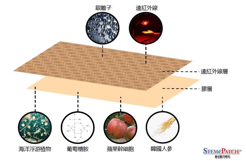 呼呼清涼貼 （25片）