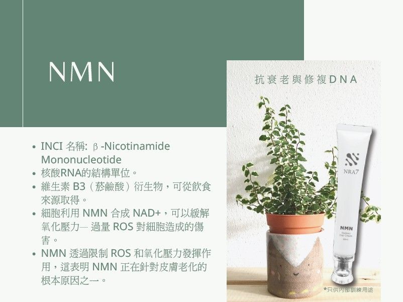 NMN亮肌日霜