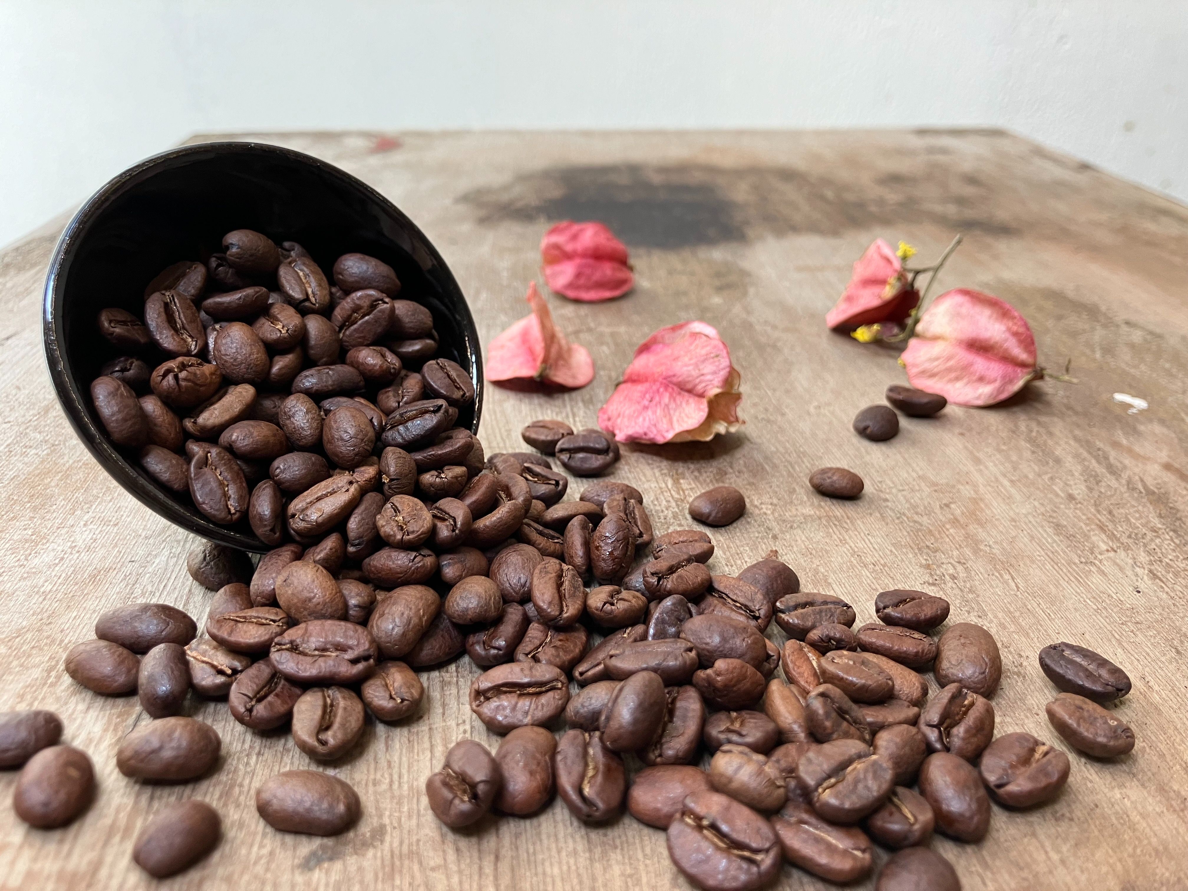 哥斯大黎加.科佩莊園 紅蜜 風味細膩 此批最後囉!