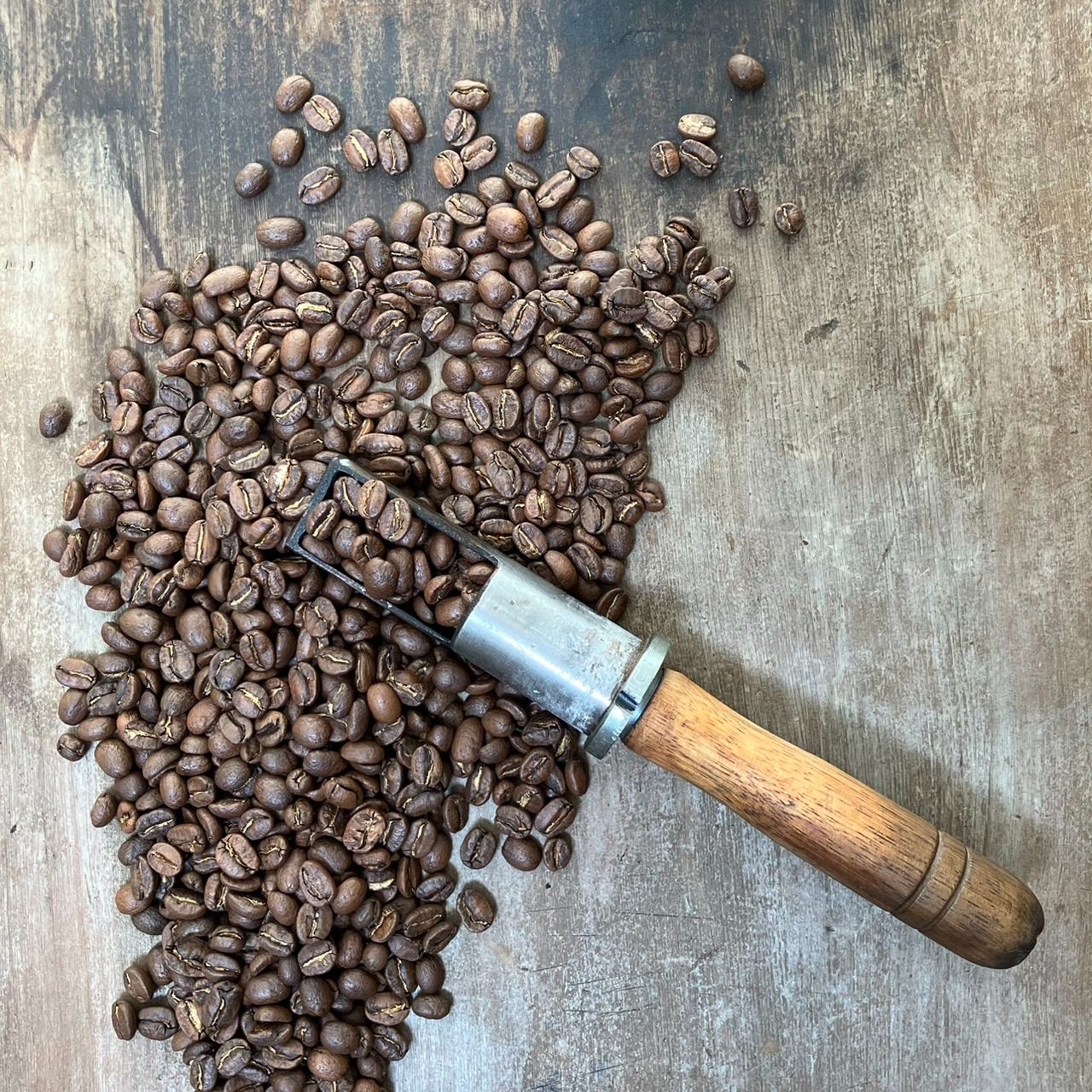 瓜地馬拉 微微特南果 老山羊