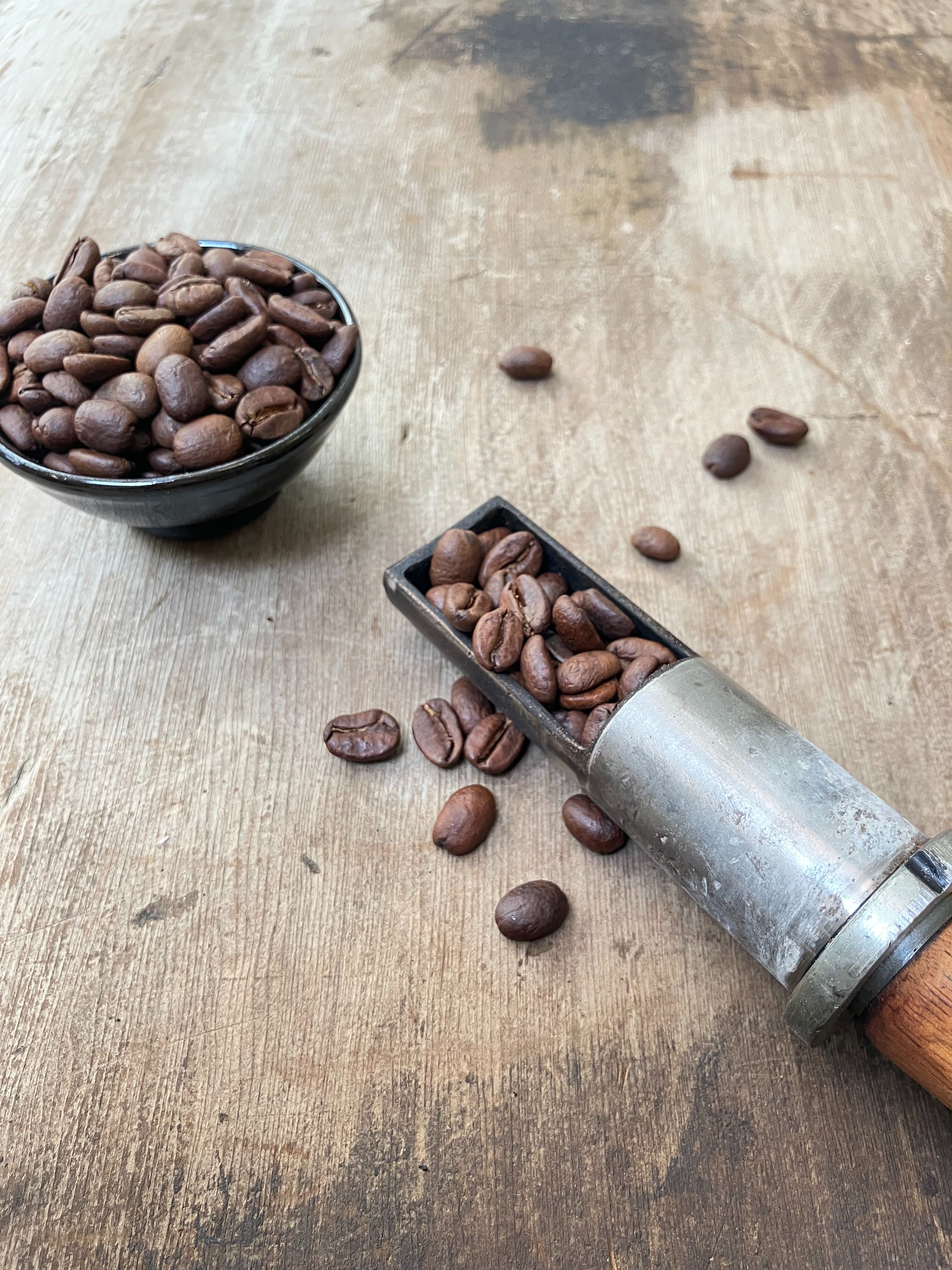 哥倫比亞 薇拉 楊桃莊園 卡杜拉