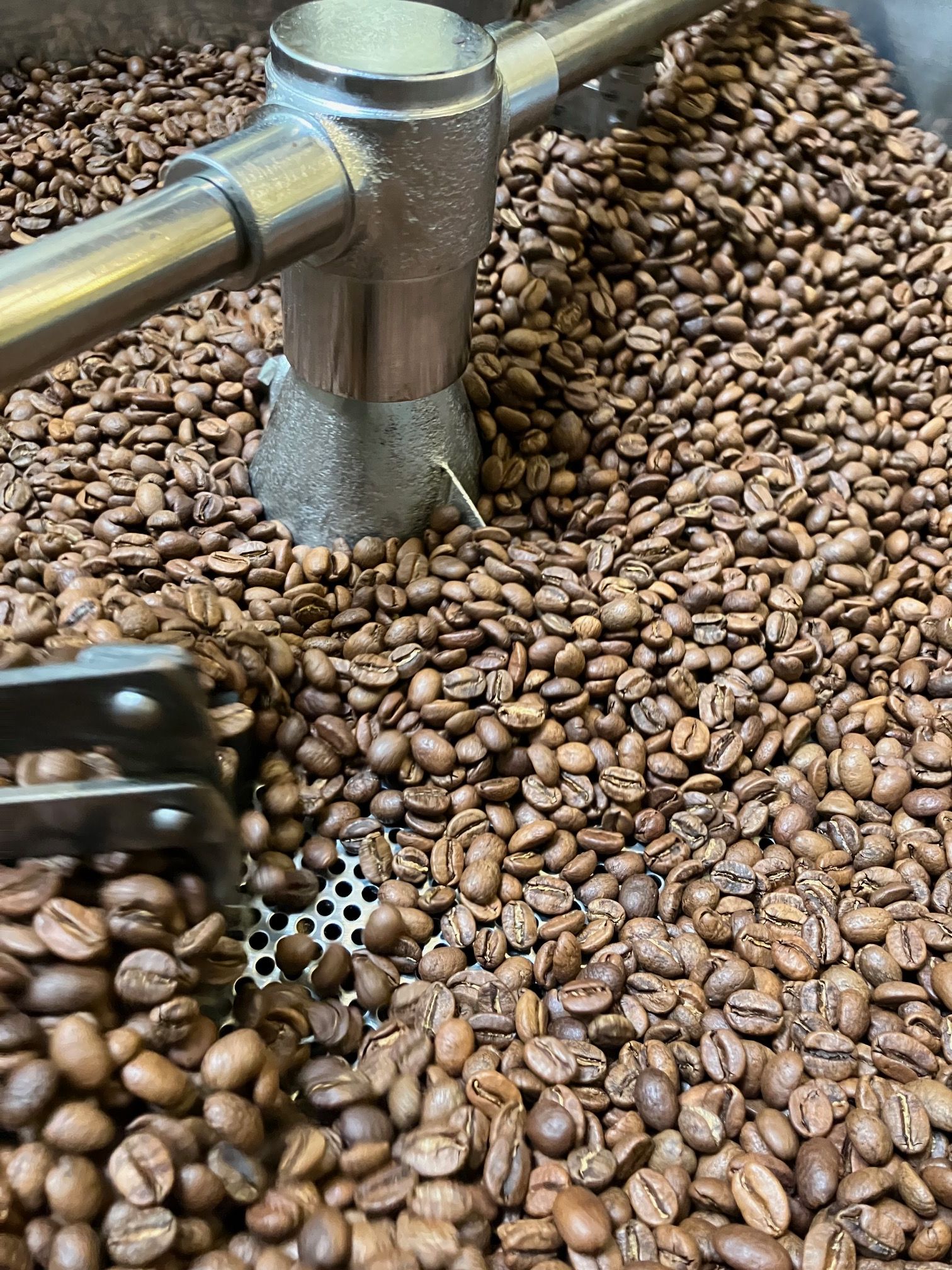 烏干達 爾文佐力山 日曬