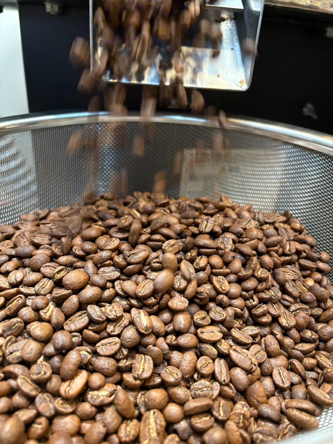 尼加拉瓜 極光莊園 浸漬日曬 藝妓