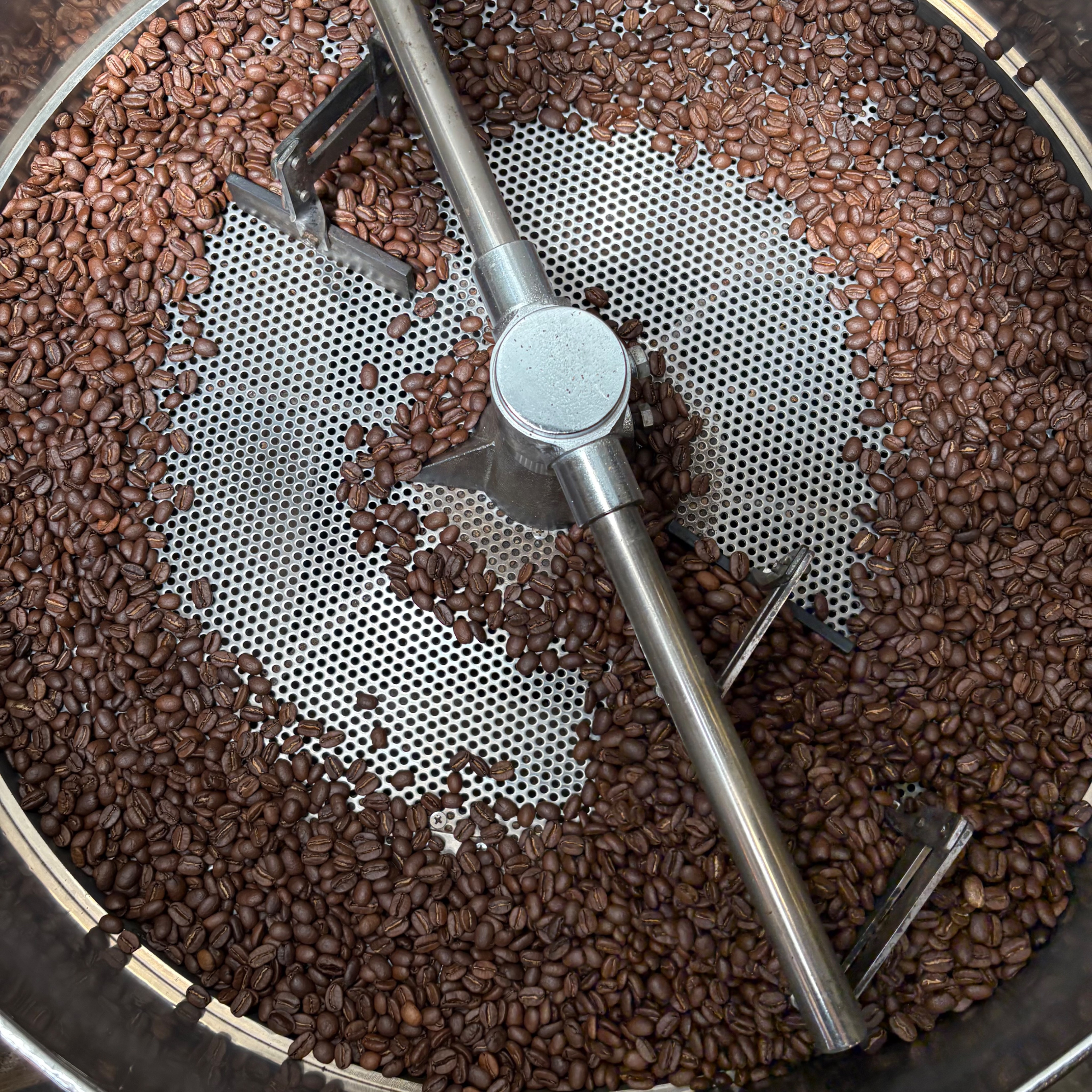 肯亞 辛巴處理站 藝伎 日曬