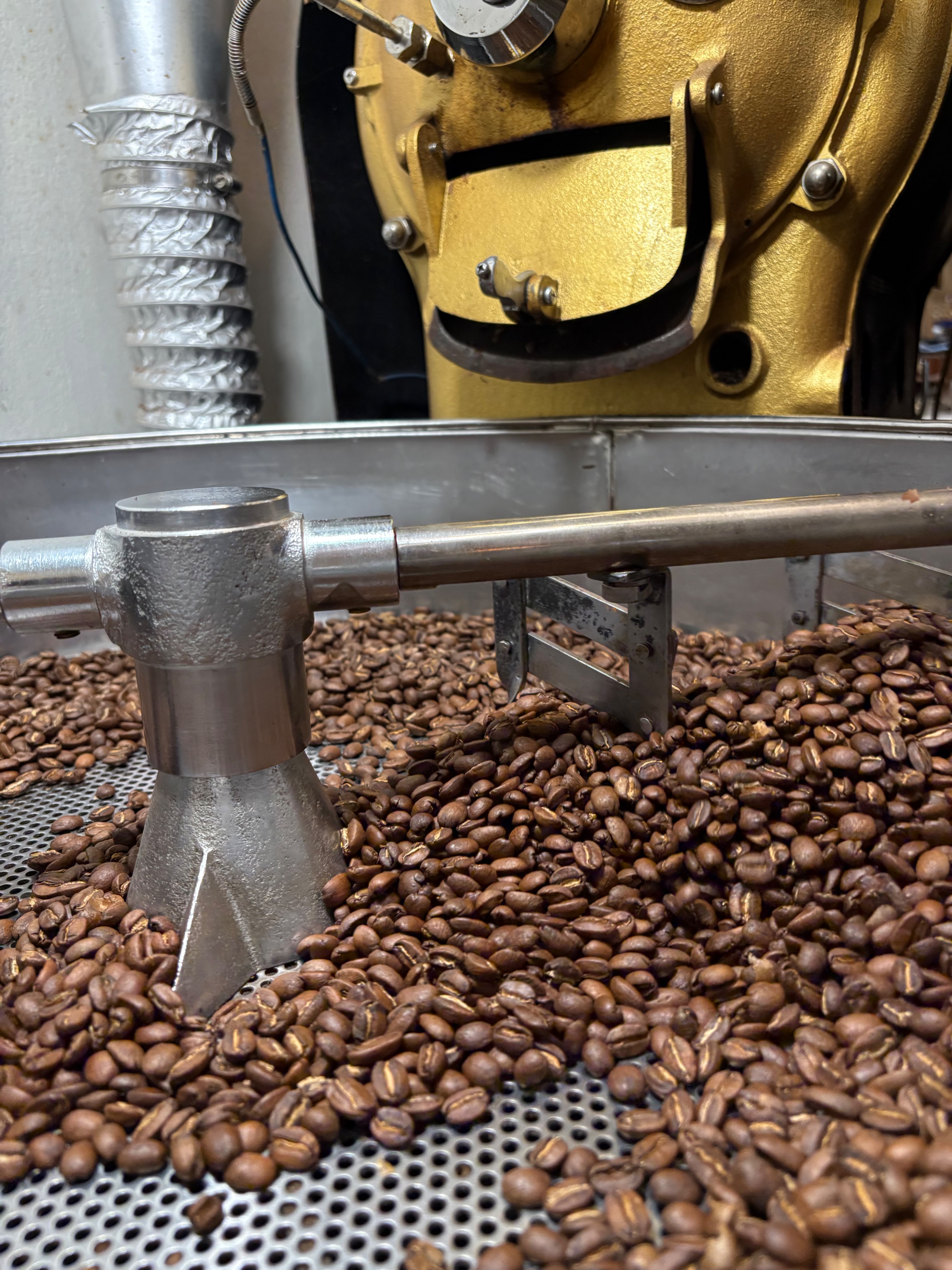 瓜地馬拉 維若妮卡莊園 日曬