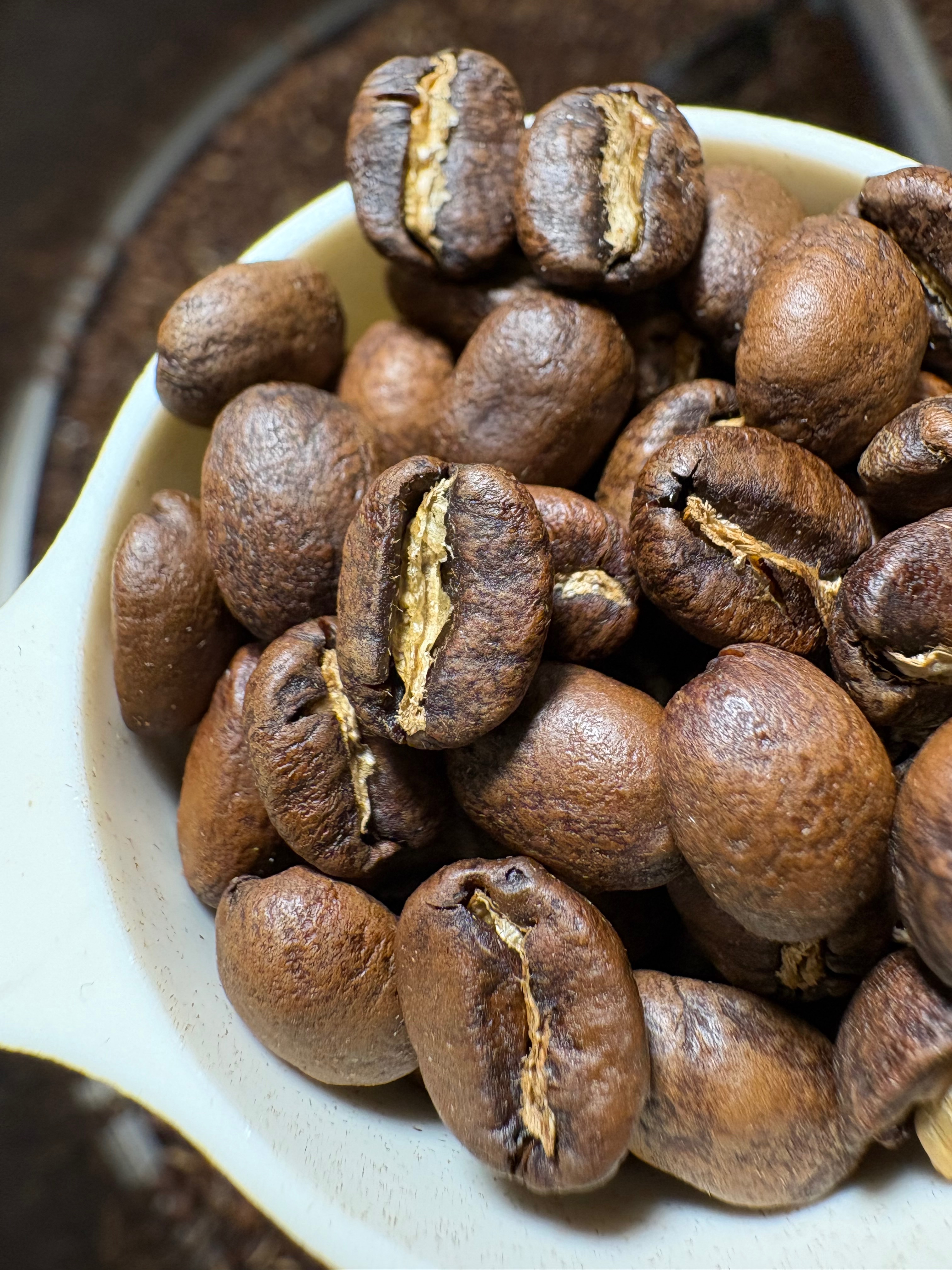 衣索比亞 耶加雪菲 巫里處理場 Berg Wu 冠軍特選 水洗