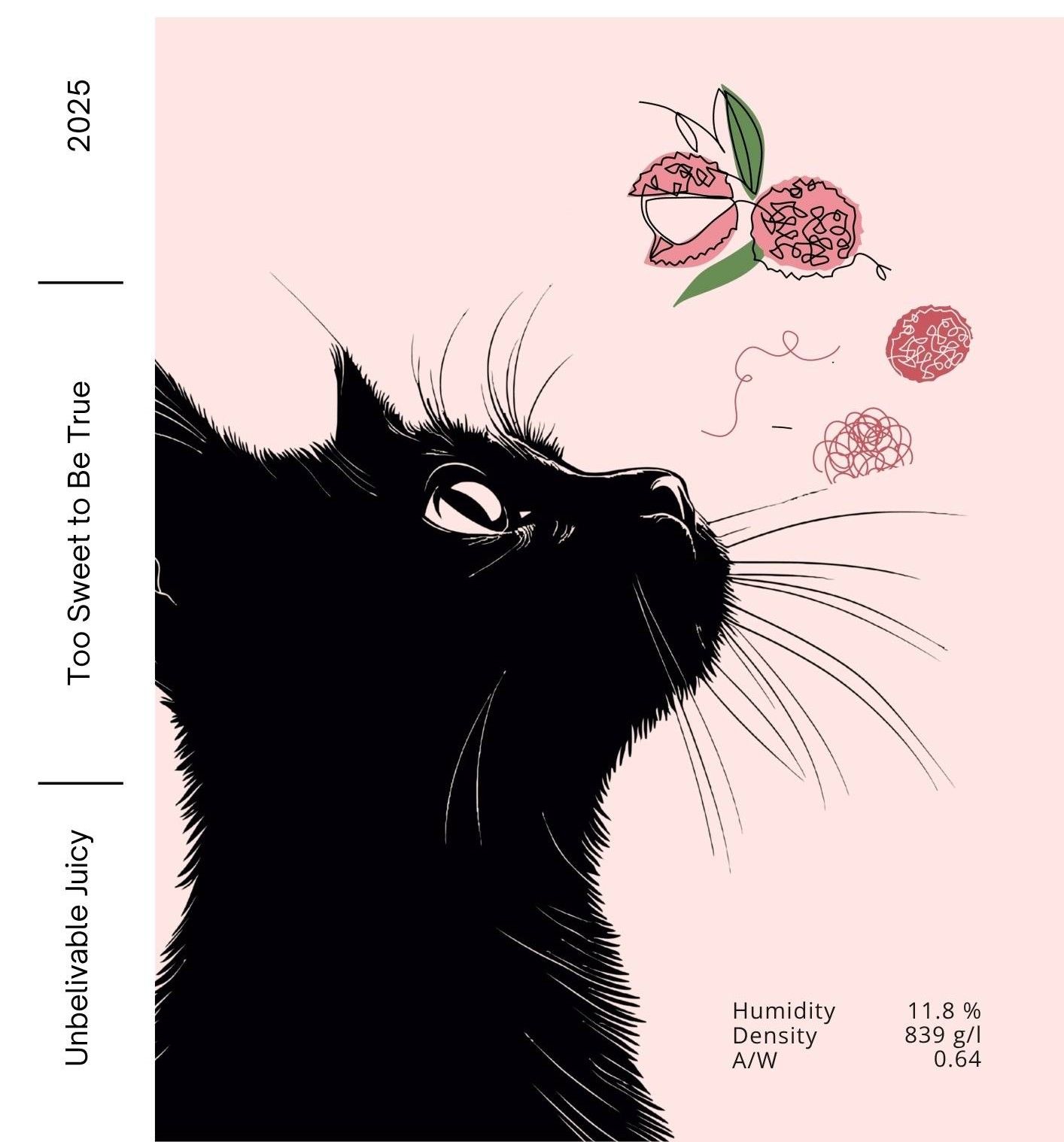 哥倫比亞 考卡 超級雪莉 釀酒酵母 蜜處理