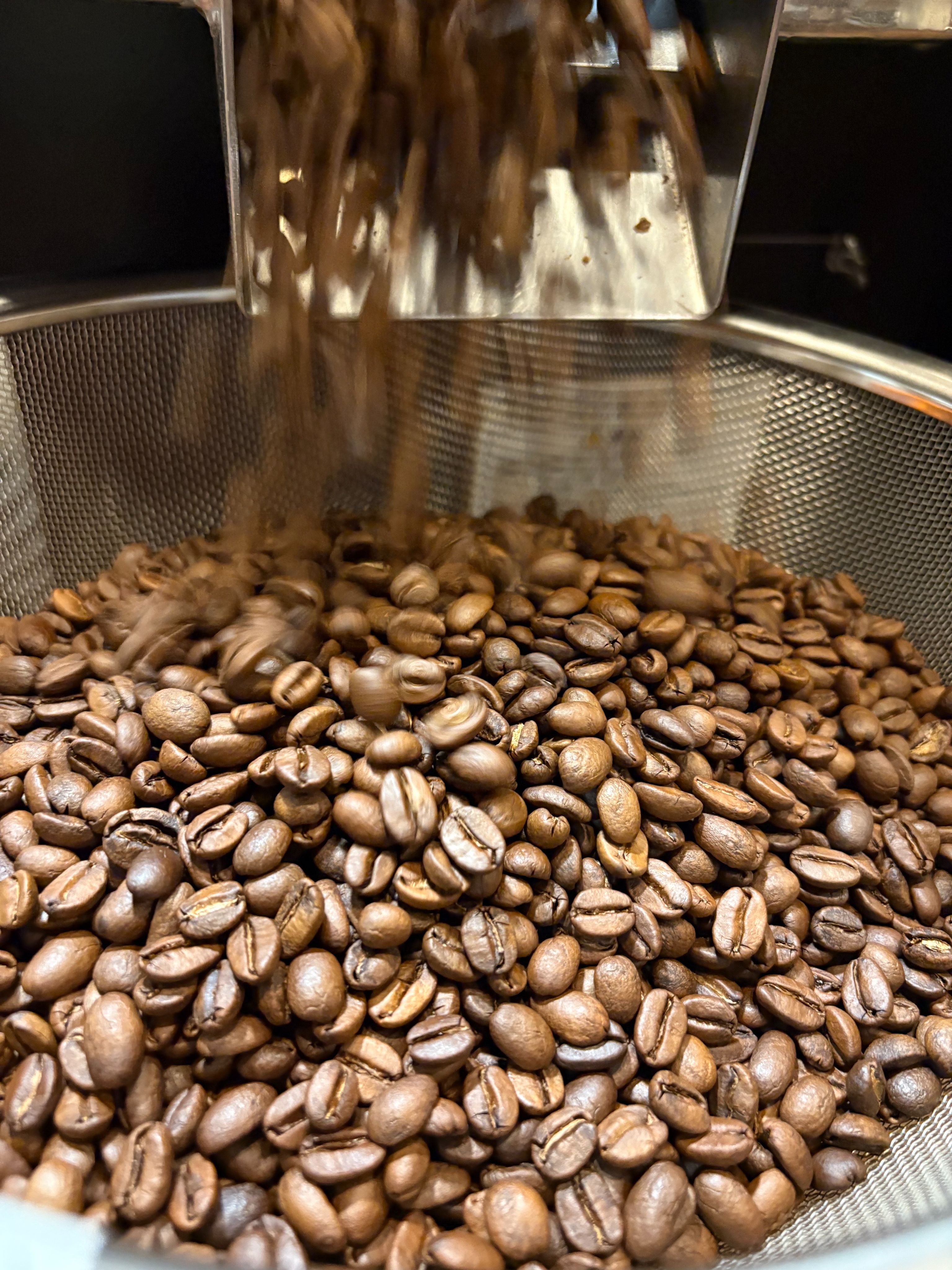 宏都拉斯 鞏瑪雅瓜 小樹莊園 荷西小農  日曬 倫皮拉