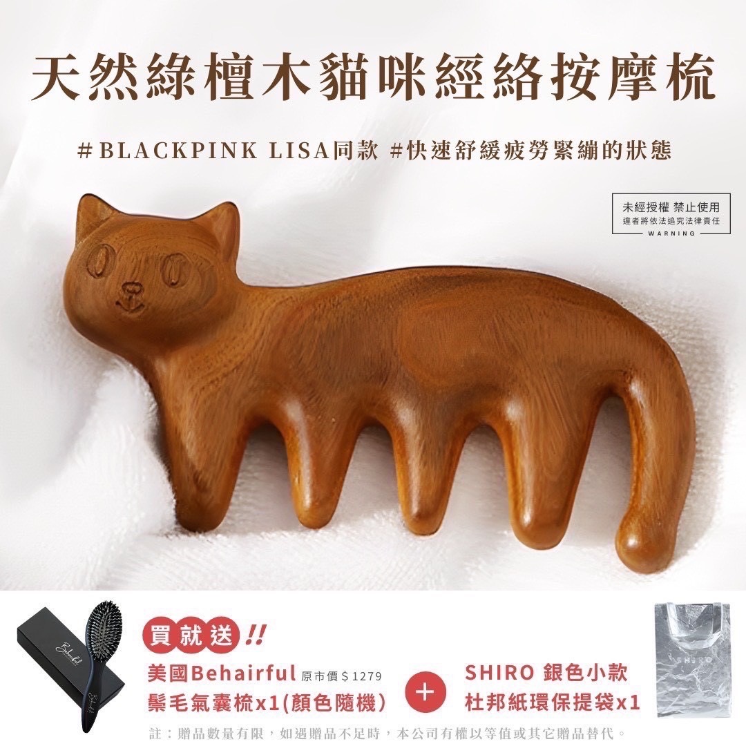 《現貨》🇵🇾巴拉圭 貓咪經絡按摩木梳🪮