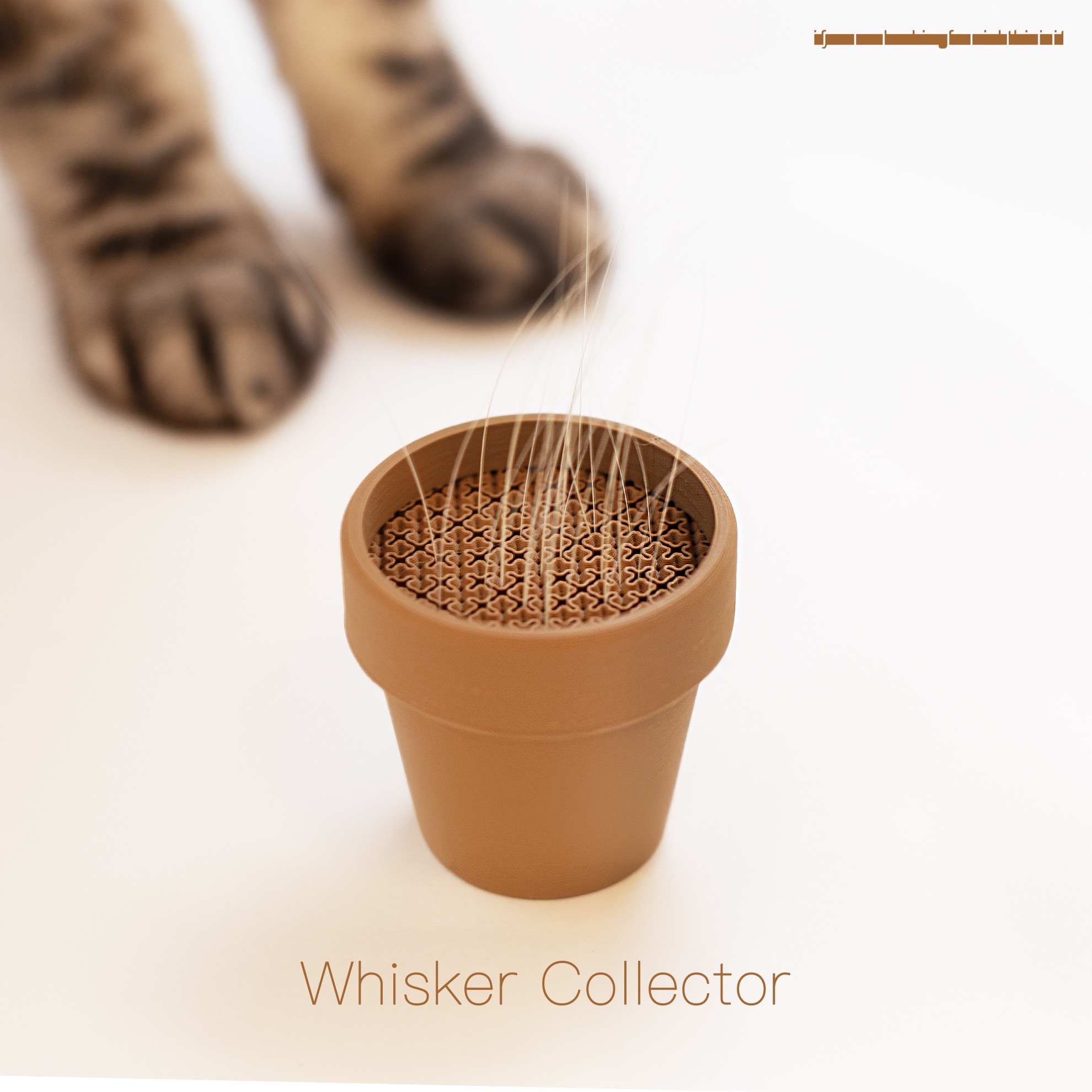 Whisker Collector 鬍鬚收集器