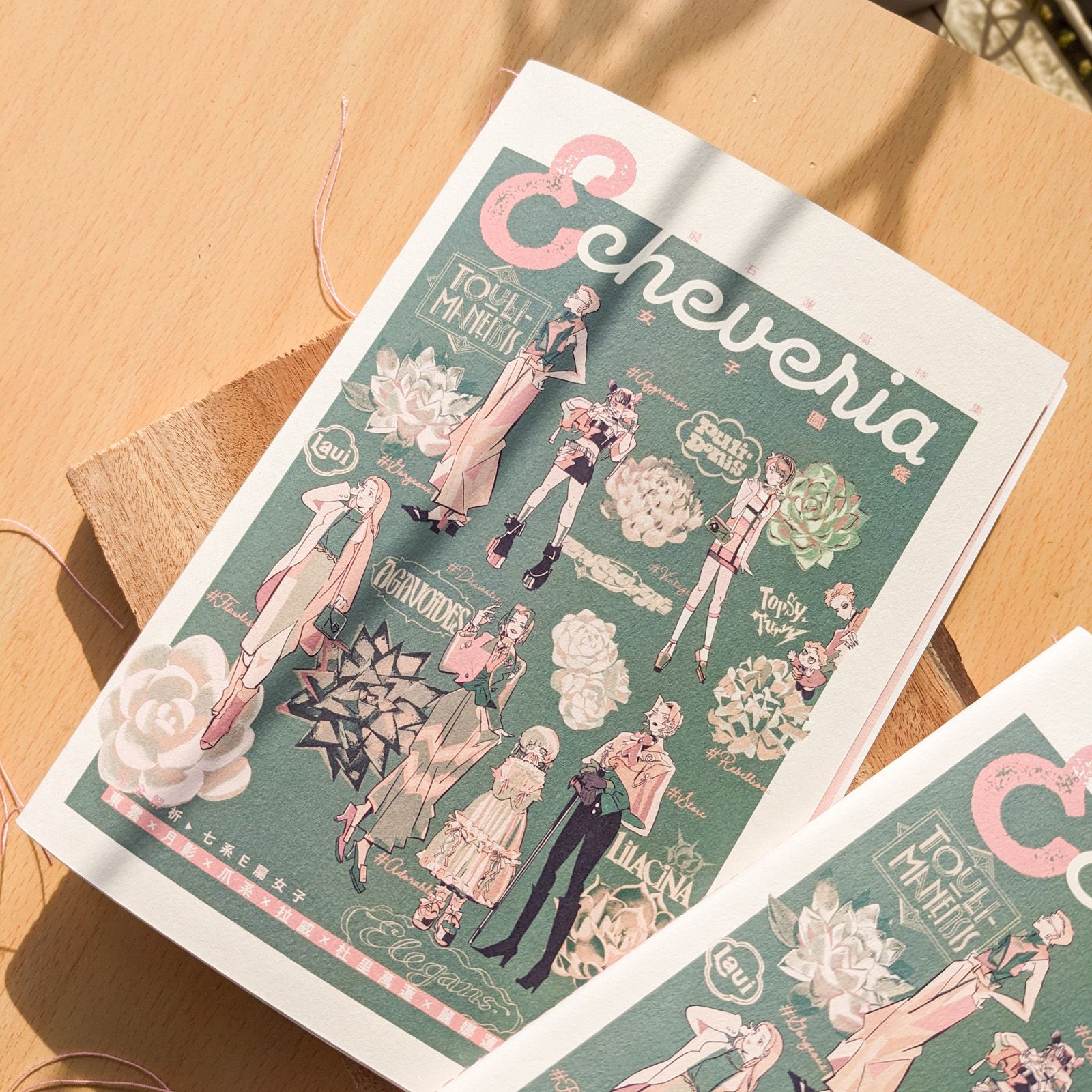 【預購】Echeveria女子圖鑑