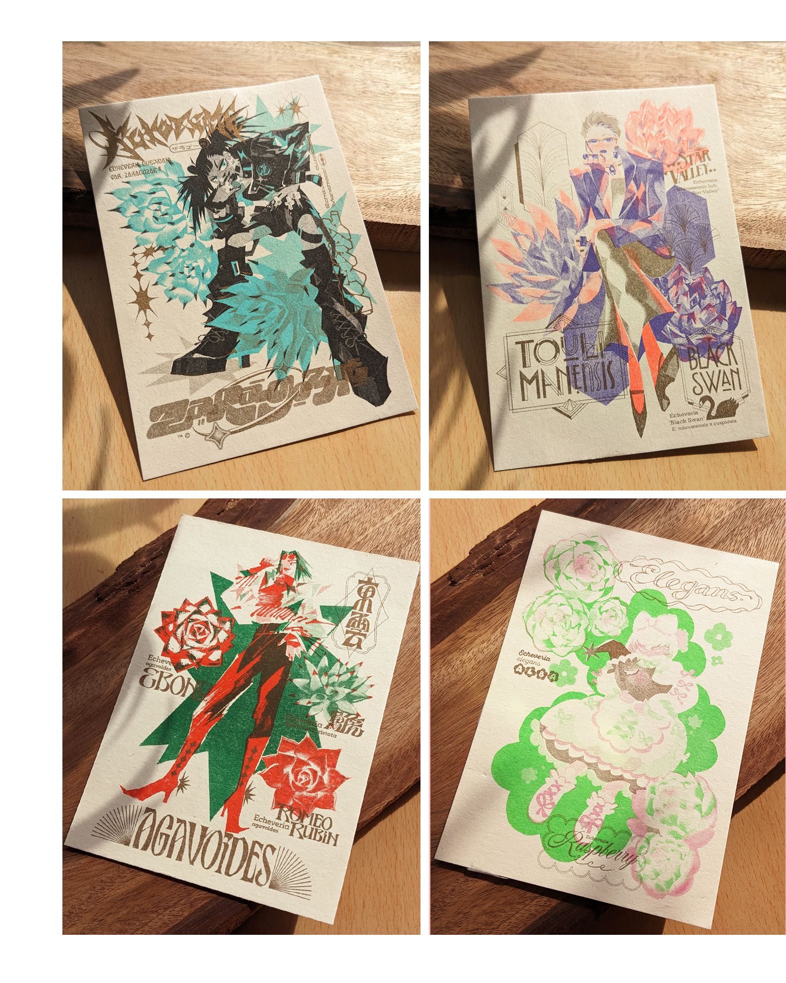 【RISO多肉明信片】爪系 / 杜里萬蓮 / 東雲 / 月影