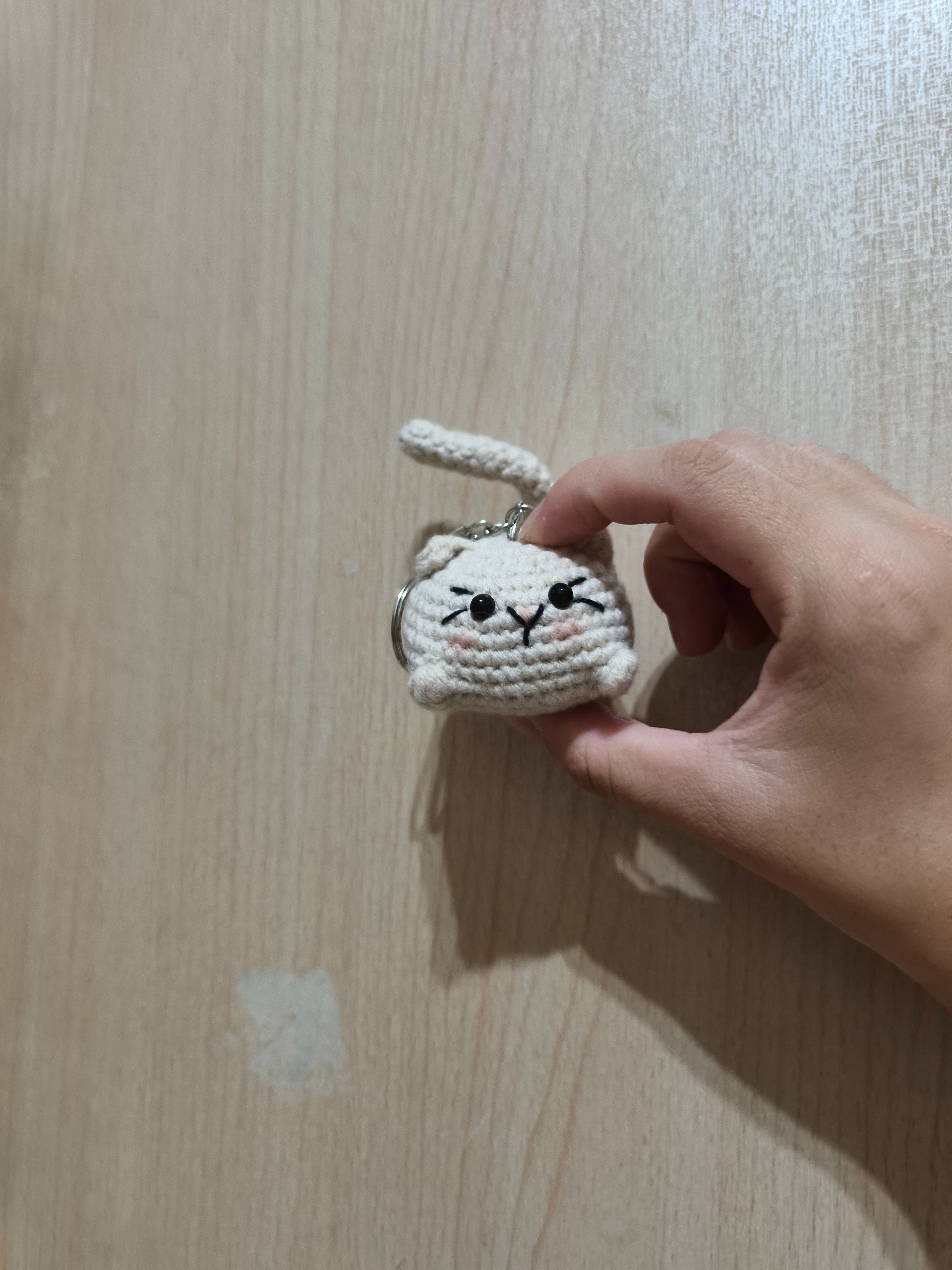貓咪