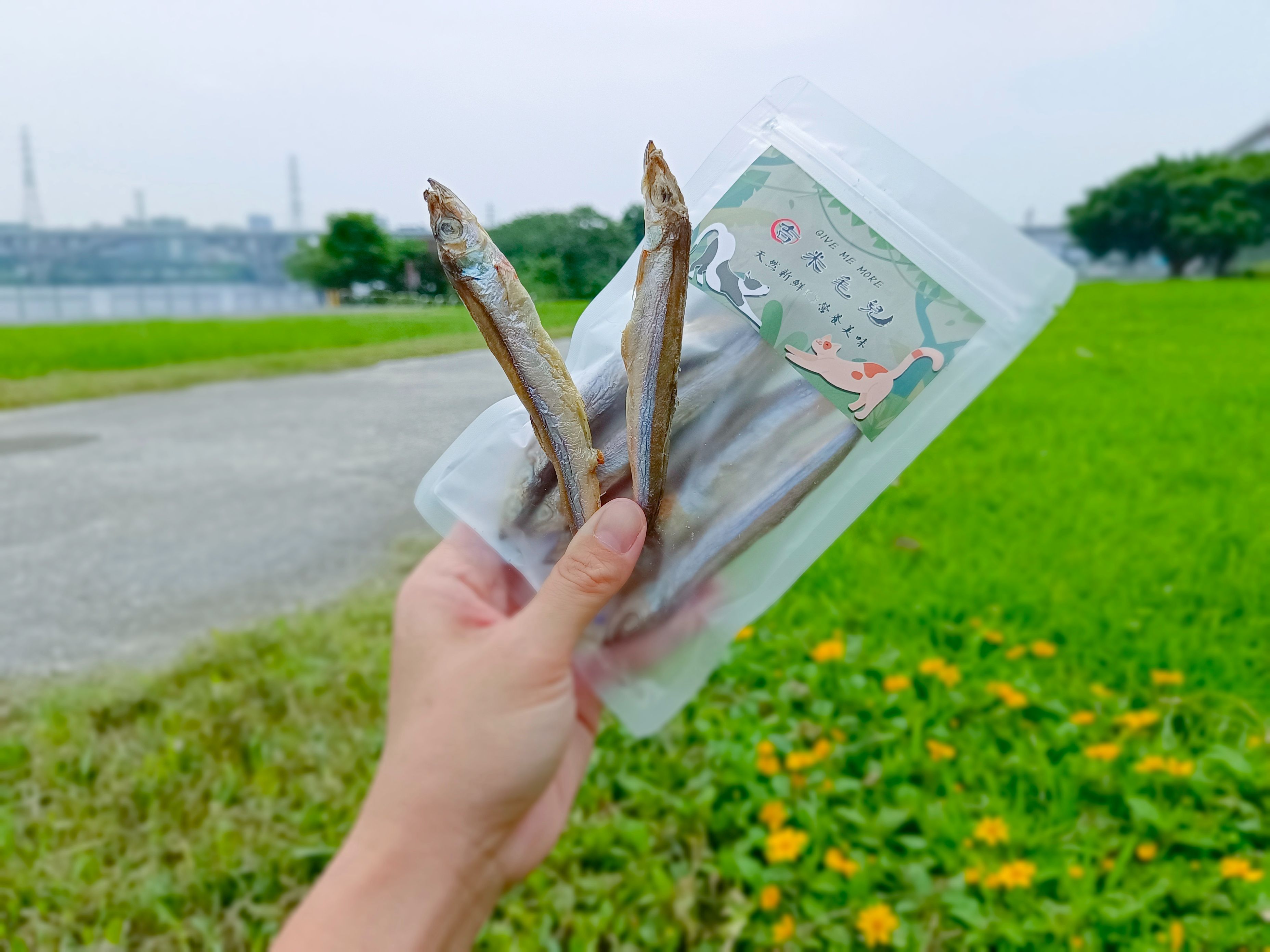 爽脆美味柳葉魚