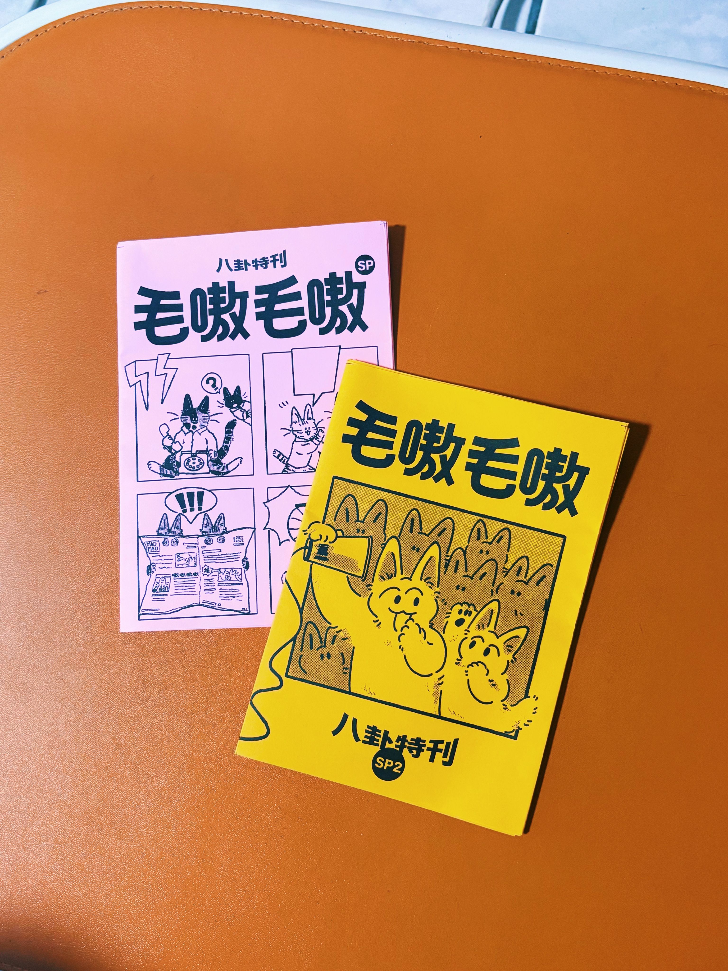 毛嗷毛嗷八卦特刊