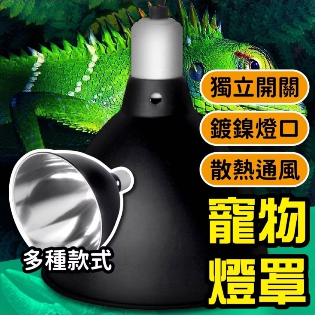 爬蟲加熱燈罩