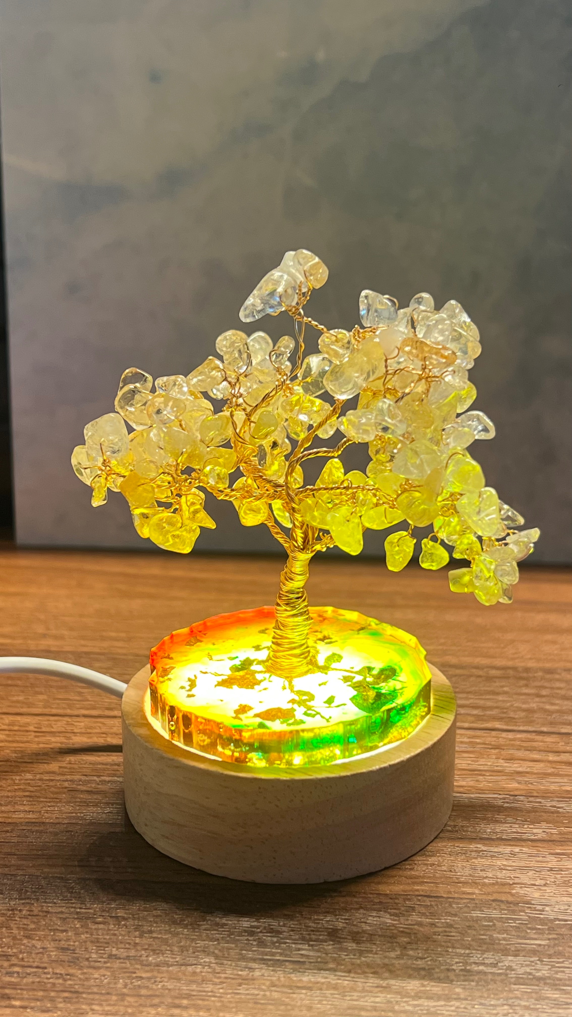 《NEW》水晶發財樹！