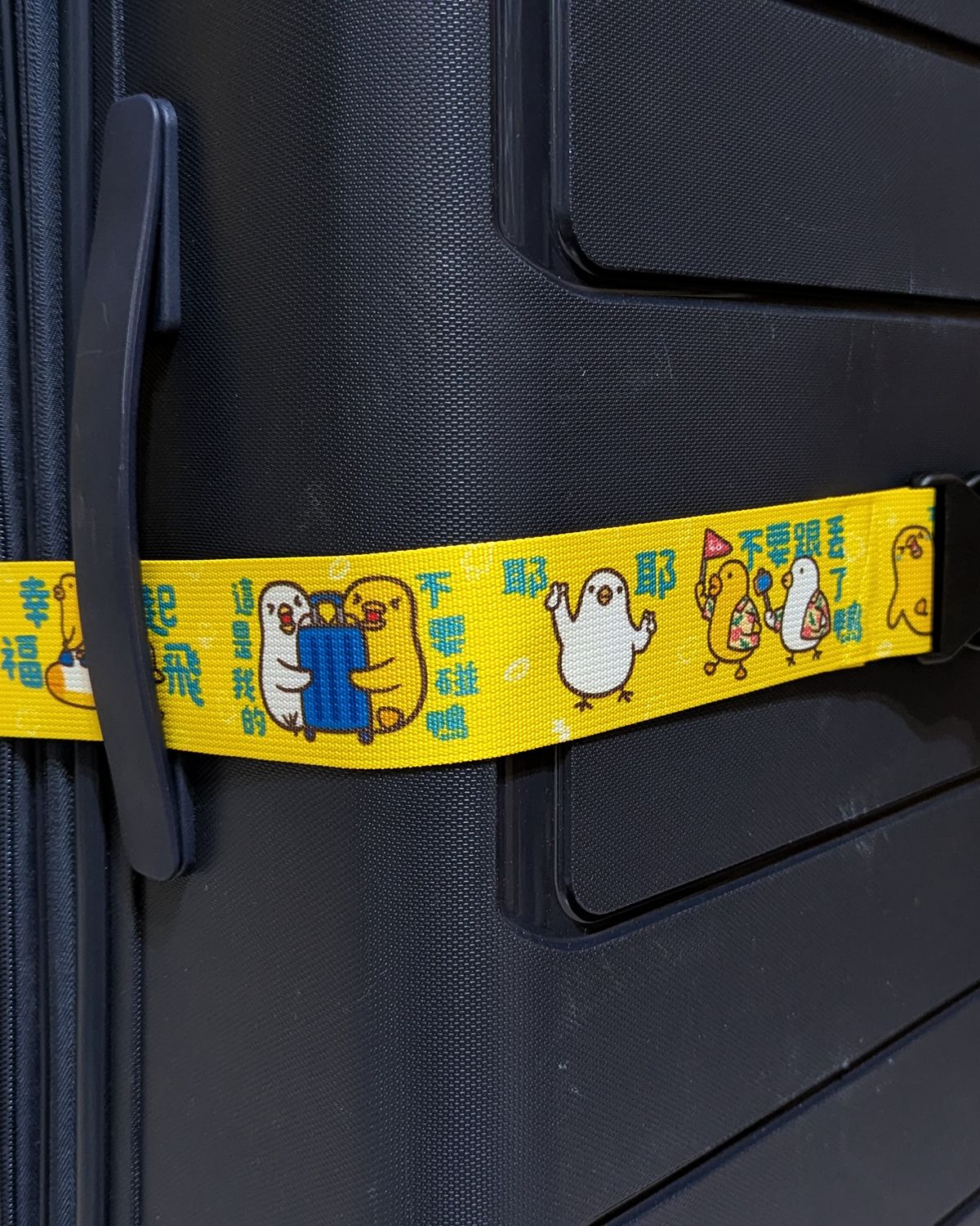 行李箱束帶_幸福起飛