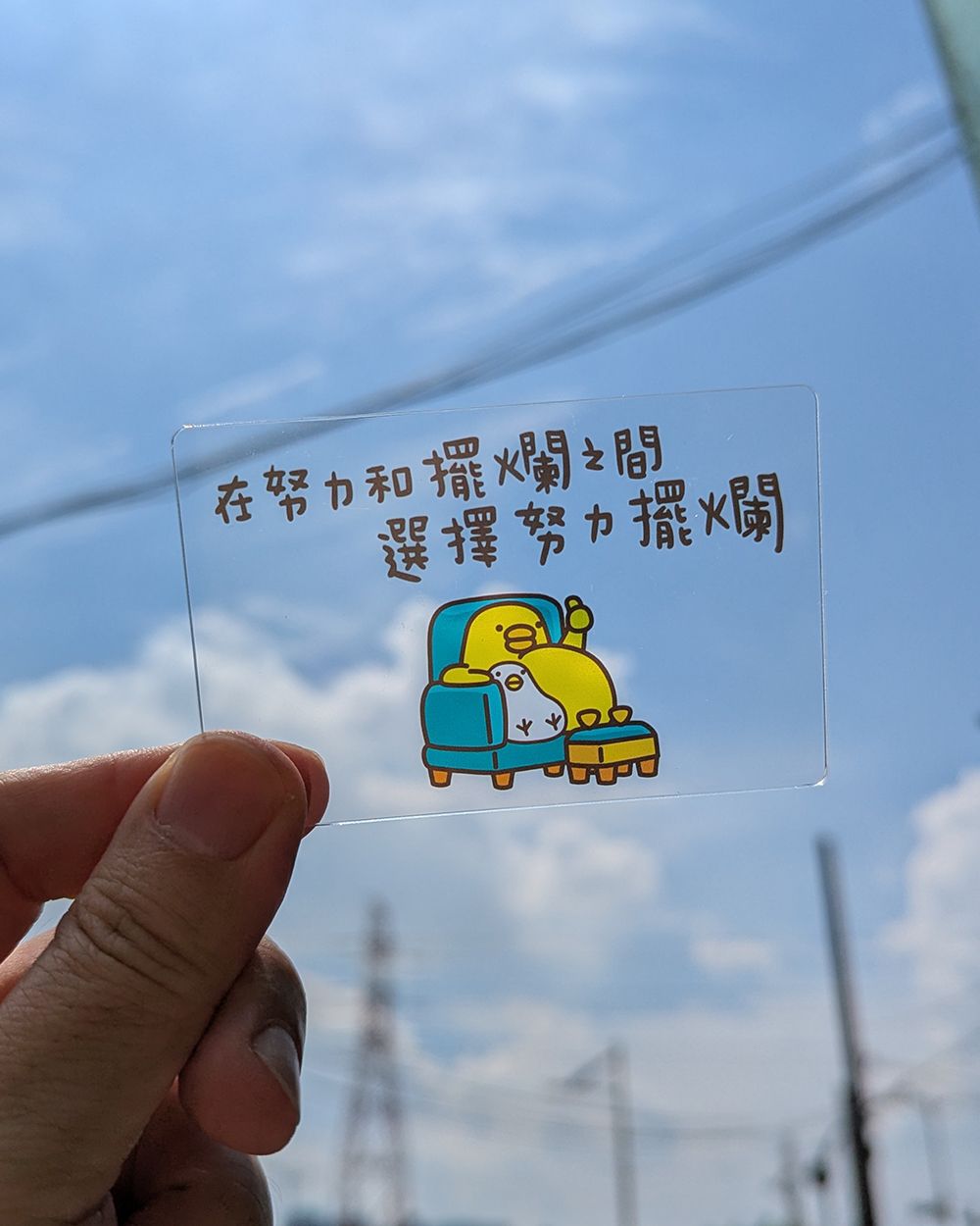 伸縮自如的雞與鴨壓克力透卡