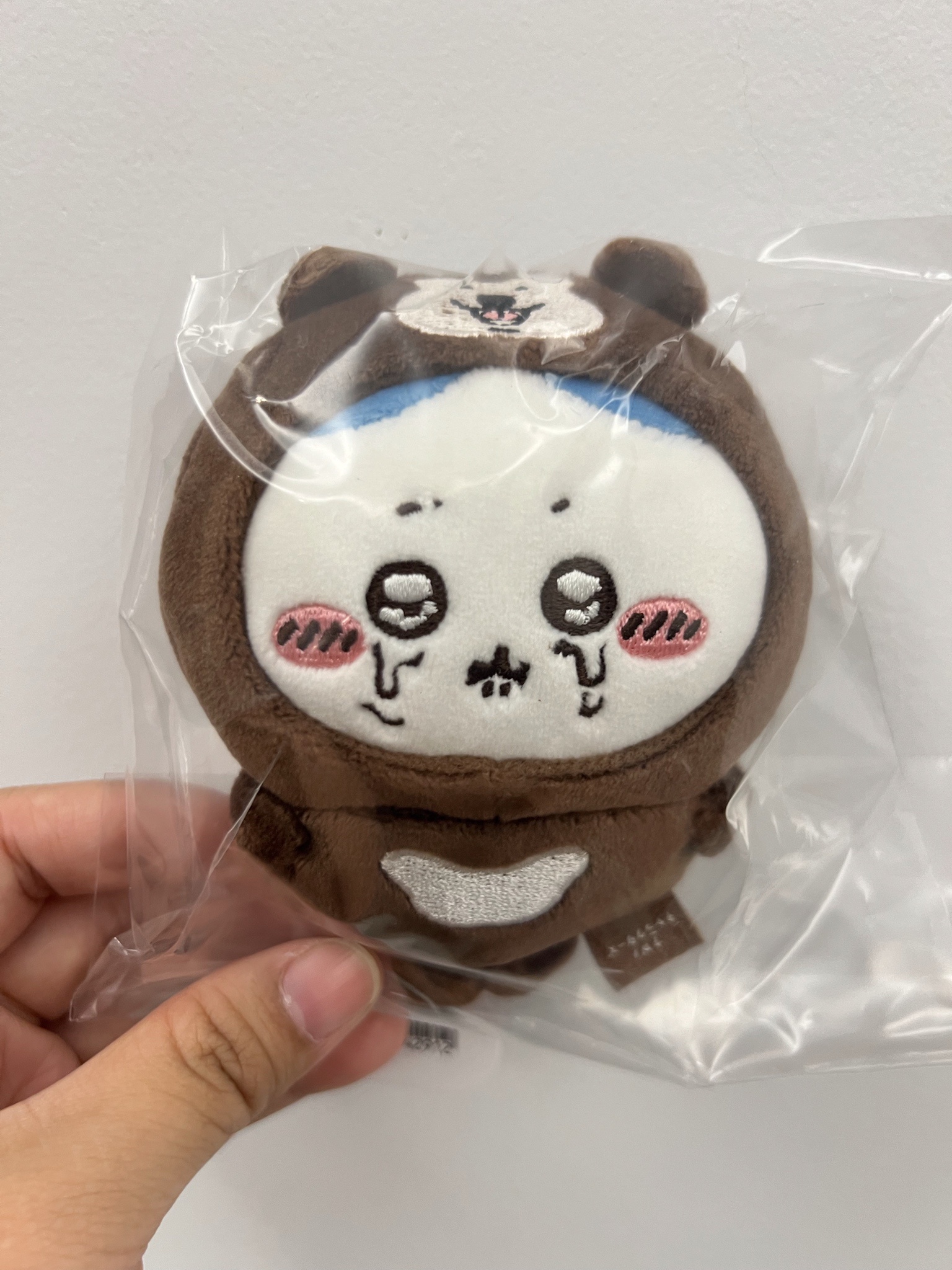 小八馬來