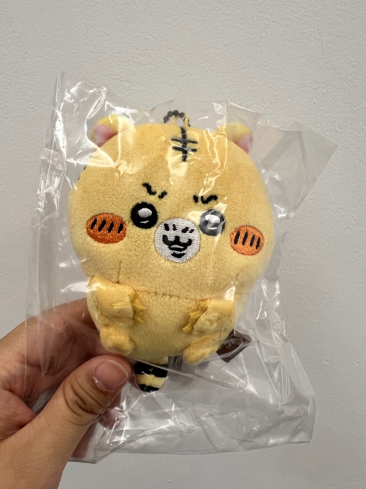 小老虎
