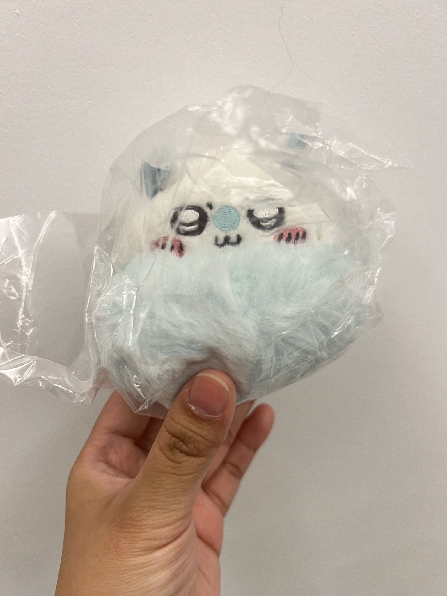 小桃手捧S