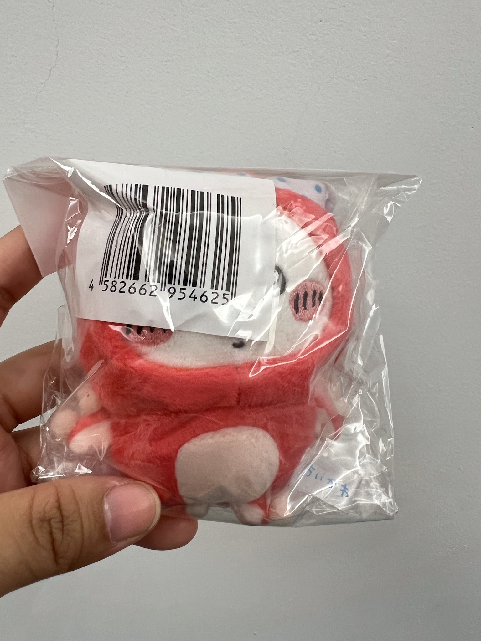 吉伊章魚