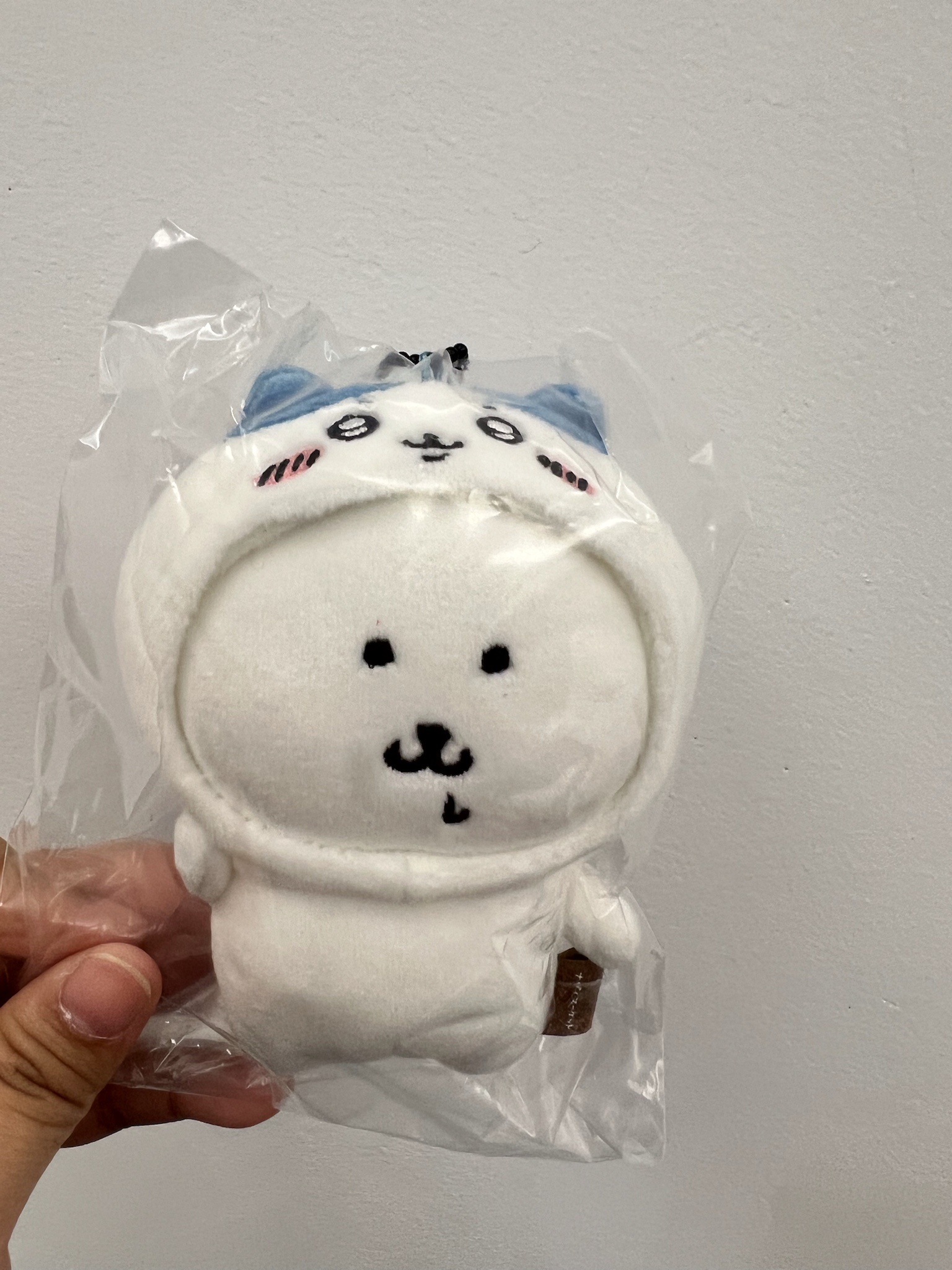 自嘲熊小八衣