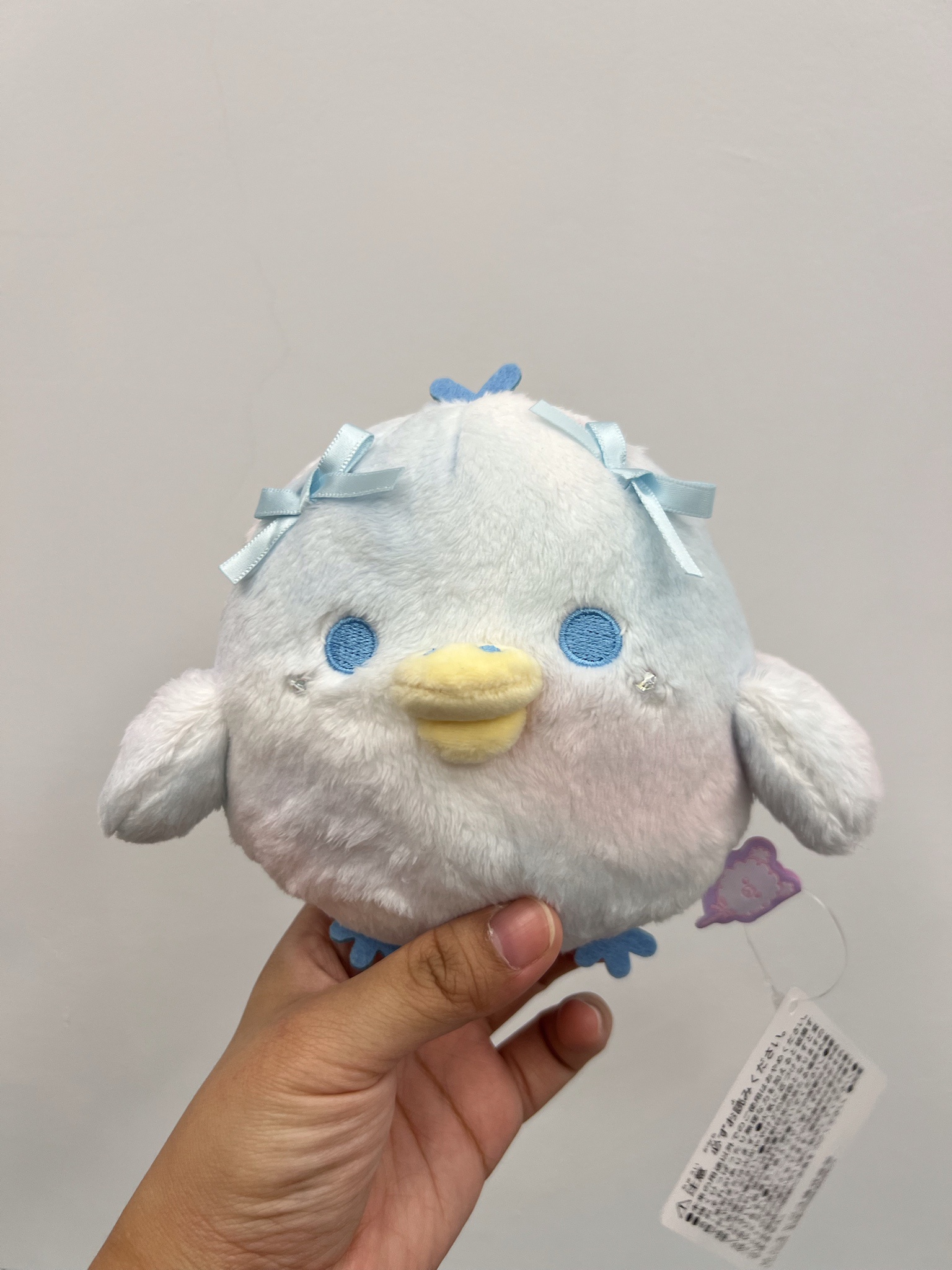 雲朵系列小鴨