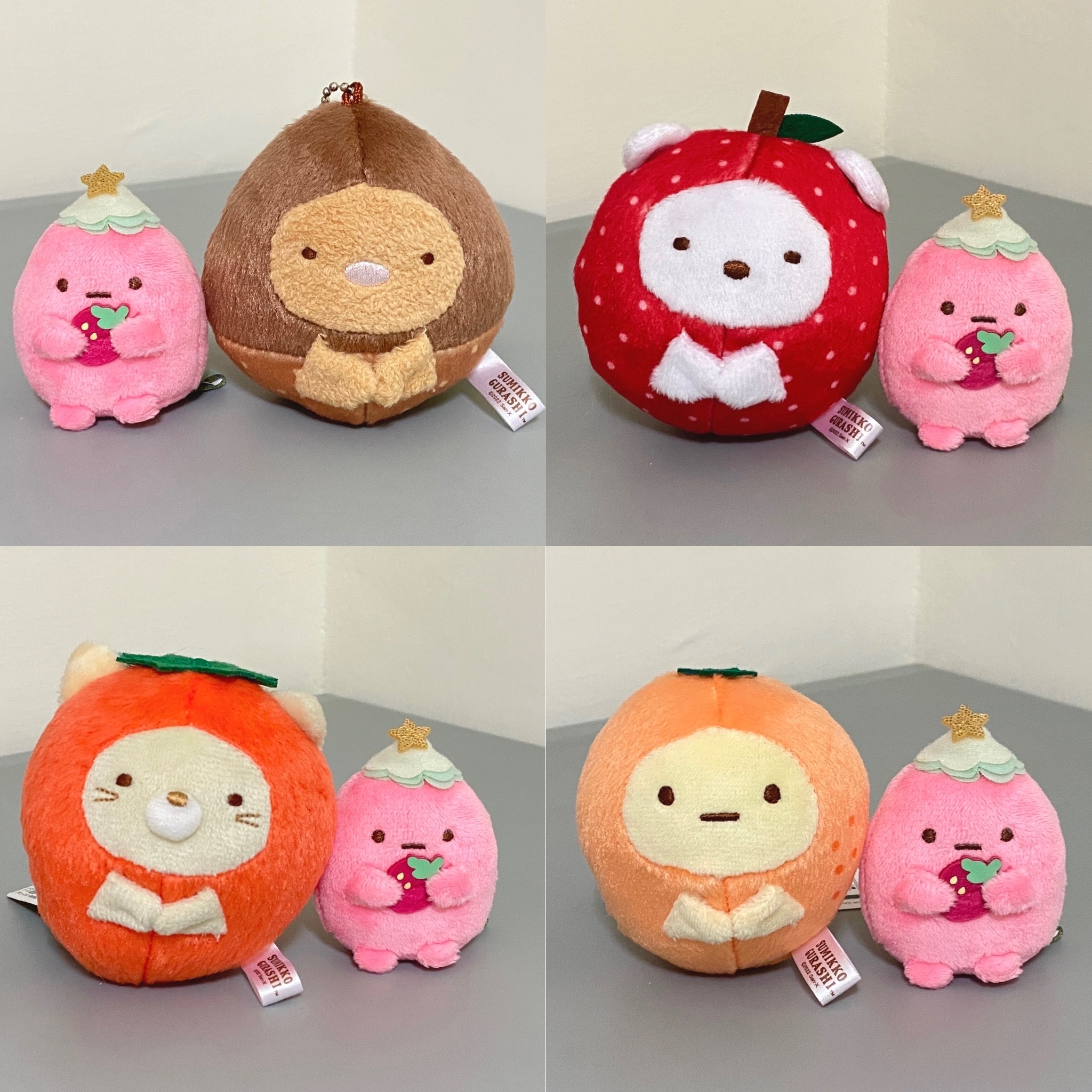 🍂秋冬果實系列