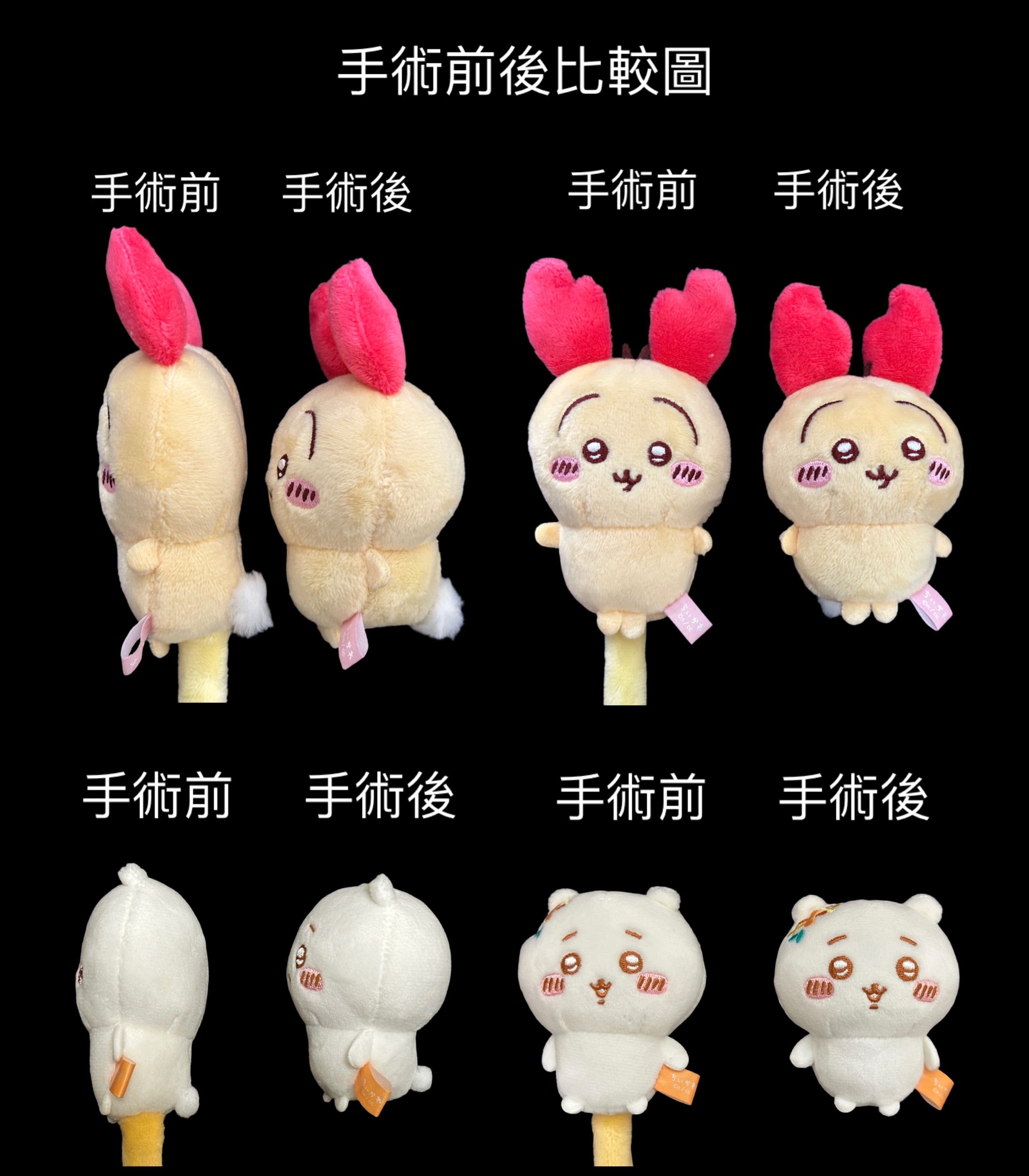 手術區（可點開看描述）