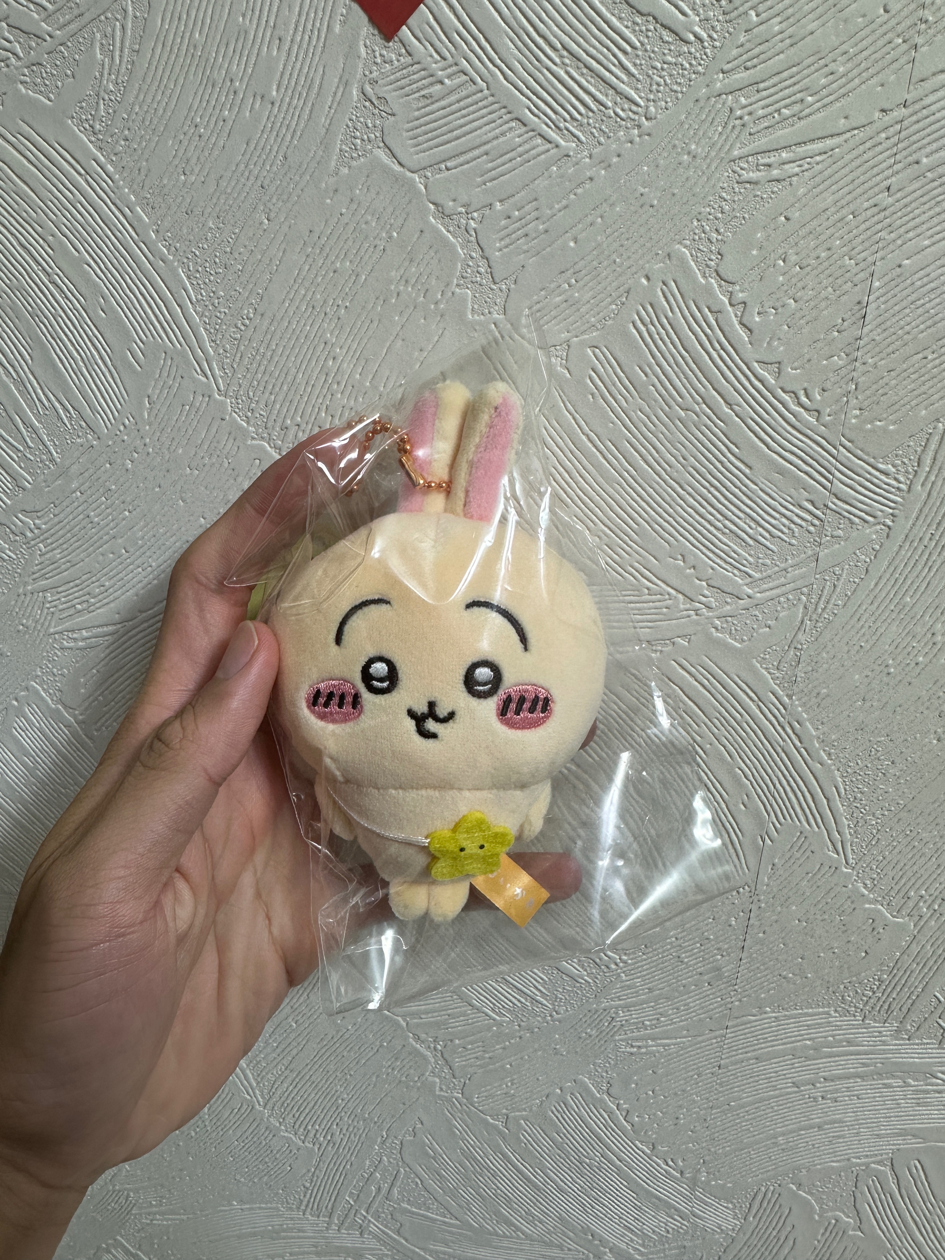 背包包烏薩奇兔兔