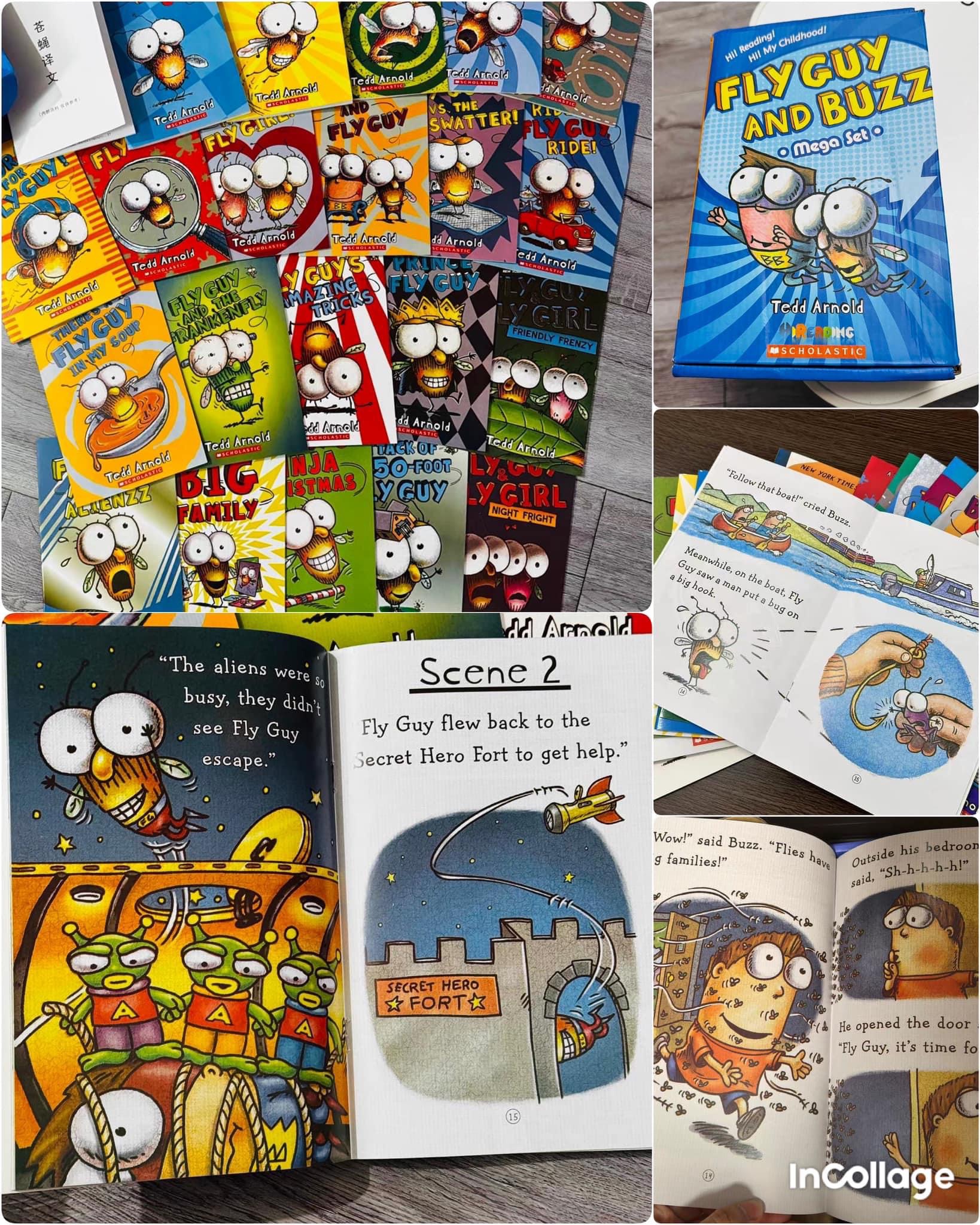 Fly guy 蒼蠅小子 22集 英文書代購